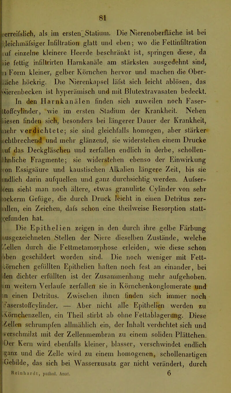 . erreifslich, als im ersten^Stalium. Die Nierenoberfläche ist bei Ideichmäfsiger Infiltration glatt und eben; wo die Fettinfiltration iuf einzelne kleinere Heerde beschrankt ist, springen diese, da ie fettig infiltrirten Harnkanäle am stärksten ausgedehnt sind, ra Form kleiner, gelber Körnchen hervor und machen die über- siehe höckrig. Die Nierenkapsel läfst sich leicht ablösen, das Nierenbecken ist hyperämisch und mit Blutextravasaten bedeckt. In den Harnkanälen finden sich zuweilen noch Faser- jttoffcylinder, wie im ersten Stadium der Krankheit. Neben iiesen finden sich, besonders bei längerer Dauer der Krankheit, i iehr verdichtete; sie sind gleichfalls homogen, aber stärker i einbrechend und mehr glänzend, sie widerstehen einem Drucke iuf das Deckgläschen und zerfallen endlich in derbe, schollen- jlhnliche Fragmente; sie widerstehen ebenso der Einwirkung 'On Essigsäure und kaustischen Alkalien längere Zeit, bis sie indlich darin aufquellen und ganz durchsichtig werden. Aufser- dem sieht man noch ältere, etwas granulirte Cylinder von sehr )0ckerm Gefüge, die durch Druck leicht in einen Detritus zer- ullen, ein Zeichen, dafs schon eine theilweise Resorption statt- gefunden hat. Die Epithelien zeigen in den durch ihre gelbe Färbung iiusgezeichnelen Stellen der Niere dieselben Zustände, welche 'eilen durch die Fettmetamorphose erleiden, wie diese schon »ben geschildert worden sind. Die noch weniger mit Fett- .örnchen gefüllten Epithelien haften noch fest an einander, bei den dichter erfüllten ist der Zusammenhang mehr aufgehoben, m weitern Verlaufe zerfallen sie in Körnchenkonglomerate und n einen Detritus. Zwischen ihnen finden sich immer noch raserstoffcylinder. — Aber nicht alle Epithelien werden zu \iii nchenzellen, ein Theil stirbt ab ohne Fellablagerung. Diese bellen schrumpfen allmählich ein, der Inhalt verdichtet sich und verschmilzt mit der Zellenmembran zu einem soliden Plättchen. Oer Kern wild ebenfalls kleiner, blasser, verschwindet endlich ganz und die Zelle wird zu einem homogenen, schollenarligen Gebilde, das sich bei Wasserzusatz gar nicht verändert, durch Reinhardt, pathol. Anot. 6