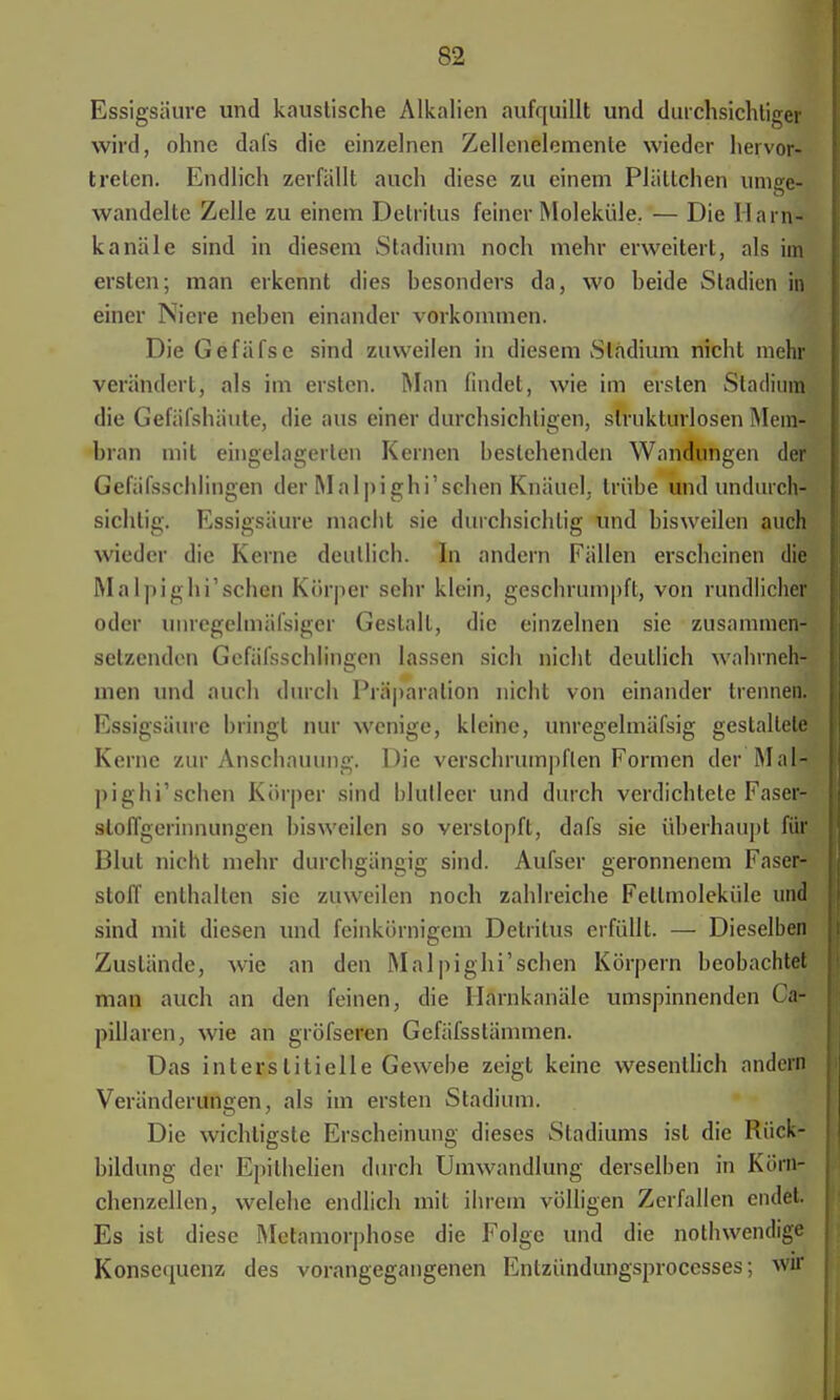 Essigsäure und kaustische Alkalien aufquillt und durchsichtiger wird, ohne dafs die einzelnen Zellenelemente wieder hervor- treten. Endlich zerfällt auch diese zu einem Plättchen umge- wandelte Zelle zu einem Detritus feiner Moleküle. — Die Harn- kanäle sind in diesem Stadium noch mehr erweitert, als im ersten; man erkennt dies besonders da, wo beide Stadien in einer Niere neben einander vorkommen. Die Gefäfse sind zuweilen in diesem Stadium nicht mehr verändert, als im ersten. Man findet, wie im ersten Stadium die Gefäfshäute, die aus einer durchsichtigen, strukturlosen Mem- bran mit eingelagerten Kernen bestehenden Wandungen der Gefäfsschlingen der Malpighi'schen Knäuel, trübe und undurch- sichtig. Essigsäure macht sie durchsichtig und bisweilen auch wieder die Kerne deutlich. In andern Fällen erscheinen die Malpighi'schen Körper sehr klein, geschrumpft, von rundlicher oder unregelmäfsiger Gestalt, die einzelnen sie zusammen- setzenden Gefäfsschlingen lassen sich nicht deutlich wahrneh- men und auch durch Präparation nicht von einander trennen. Essigsäure bringt nur wenige, kleine, unregelmäfsig gestaltete Kerne zur Anschauimg. Die verschrumpflen Formen der Mal- pighi'schen Körper sind blutleer und durch verdichtete Faser- sloffgerinnungen bisweilen so verstopft, dafs sie überhaupt für Blut nicht mehr durchgängig sind. Aufser geronnenem Faser- stoff enthalten sie zuweilen noch zahlreiche Fellmoleküle und sind mit diesen und feinkörnigem Detritus erfüllt. — Dieselben Zustände, wie an den Malpighi'schen Körpern beobachtet man auch an den feinen, die Ilarnkanäle umspinnenden Ca- pillarcn, wie an gröfseren Gefäfsslänunen. Das interstitielle Gewebe zeigt keine wesentlich andern Veränderungen, als im ersten Stadium. Die wichtigste Erscheinung dieses Stadiums ist die Rück- bildung der Epithelien durch Umwandlung derselben in Körn- chenzellen, welehe endlich mit ihrem völligen Zerfallen endet. Es ist diese Metamorphose die Folge und die nothwendige Konsequenz des vorangegangenen Entzündungsproccsses; wir