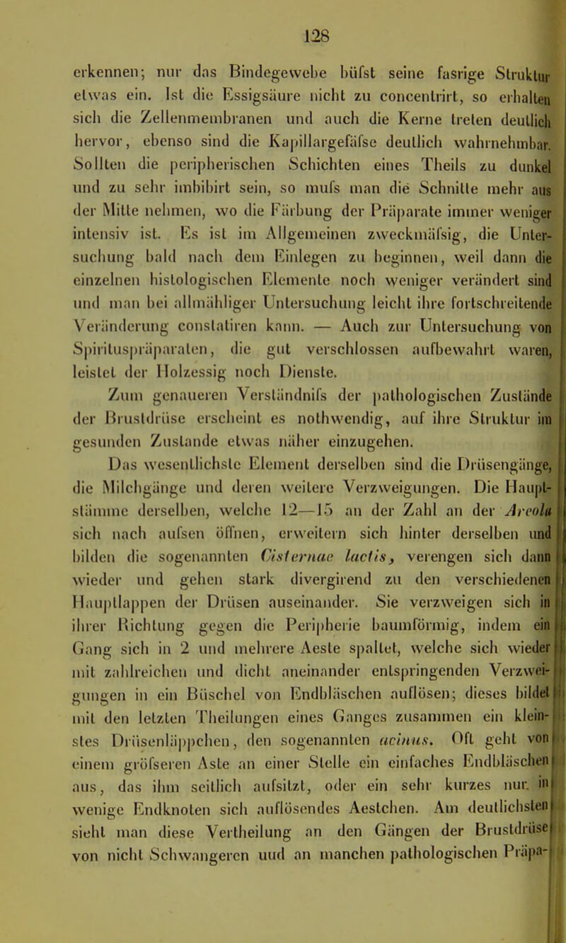 erkennen; nur dos Bindegewebe büfst seine fasrige Struktur etwas ein. Ist die Essigsäure nicht zu concentrirt, so erhalten sieb die Zellenmembranen und auch die Kerne treten deutlich hervor, ebenso sind die Kapillargefäfse deutlich wahrnehmbar. Sollten die peripherischen Schichten eines Theils zu dunkel und zu sehr imbibirt sein, so mufs man die Schnitte mehr aus der Mille nehmen, wo die Färbung der Präparate immer weniger intensiv ist Es ist im Allgemeinen zweckmässig, die Unter- suchung bald nach dem Einlegen zu beginnen, weil dann die einzelnen histologischen Elemente noch weniger verändert sind und man bei allmähliger Untersuchung leicht ihre fortschreitende Veränderung constatiren kann. — Auch zur Untersuchung von; Spirituspräparalen, die gut verschlossen aufbewahrt waren, leislet der Holzessig noch Dienste. Zum genaueren Versländnifs der pathologischen Zustände der Brustdrüse erscheint es nothwendig, auf ihre Struktur im gesunden Zustande etwas näher einzugehen. Das wesentlichste Element derselben sind die Drüsengänge, die Milchgänge und deren weitere Verzweigungen. Die Haura stämme derselben, welche 12—J> an der Zahl an der Areola sich nach aufsen öffnen, erweitern sich hinter derselben und bilden die sogenannten Oisternae lactis, verengen sich dann wieder und gehen stark divergirend zu den verschiedenen Hauptlappen der Drüsen auseinander. Sie verzweigen sich in ihrer KichLung gegen die Peripherie baumförmig, indem ein Gang sich in 2 und mehrere Aesle spaltet, welche sich wieder mit zahlreichen und dicht aneinander entspringenden Verzwei- gungen in ein Büschel von Endbläseben auflösen; dieses bildet mit den letzten Theilungen eines Ganges zusammen ein klein- stes Drüsenläppchen, den sogenannten acinus. Oft gehl vom einem gröfseren Aste an einer Stelle ein einfaches Endbläschen aus, das ihm seillich aufsilzl, oder ein sehr kurzes nur. in wenige Endknolen sich auflösendes Aestchen. Am deutlichsten! sieht man diese Verlheilung an den Gängen der Brusldriisei von nicht Schwangeren uud an manchen pathologischen Prä|>a->