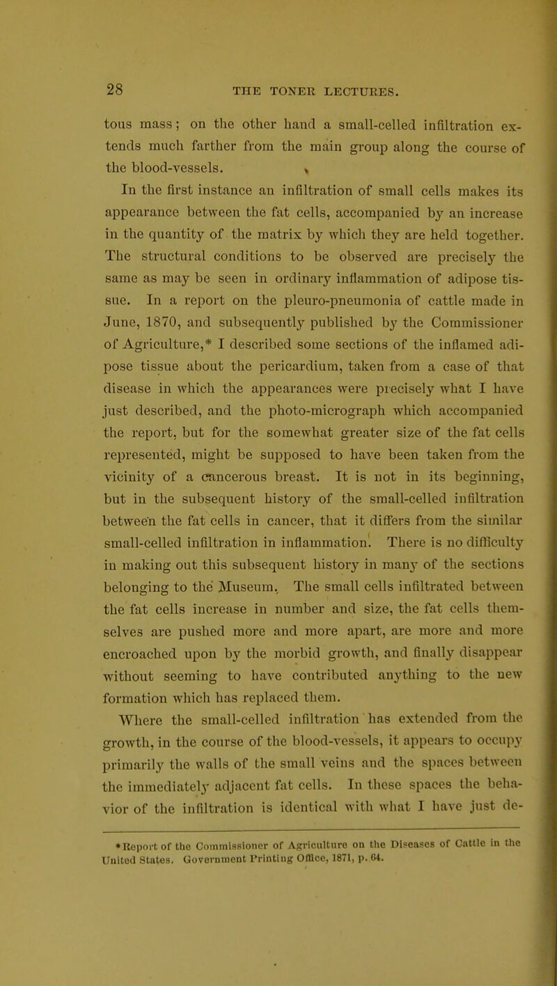 tous mass; on the other hand a small-celled infiltration ex- tends much farther from the main group along the course of the bloodvessels. > In the first instance an infiltration of small cells makes its appearance between the fat cells, accompanied by an increase in the quantity of the matrix by which they are held together. The structural conditions to be observed are precisely the same as may be seen in ordinary inflammation of adipose tis- sue. In a report on the pleuro-pneumonia of cattle made in June, 1870, and subsequently published by the Commissioner of Agriculture,* I described some sections of the inflamed adi- pose tissue about the pericardium, taken from a case of that disease in which the appearances were precisely what I have just described, and the photo-micrograph which accompanied the report, but for the somewhat greater size of the fat cells represented, might be supposed to have been taken from the vicinity of a cancerous breast. It is not in its beginning, but in the subsequent history of the small-celled infiltration between the fat cells in cancer, that it differs from the similar small-celled infiltration in inflammation. There is no difficulty in making out this subsequent histoiy in man}' of the sections belonging to the Museum. The small cells infiltrated between the fat cells increase in number and size, the fat cells them- selves are pushed more and more apart, are more and more encroached upon by the morbid growth, and finally disappear without seeming to have contributed anything to the new formation which has replaced them. Where the small-celled infiltration has extended from the growth, in the course of the blood-vessels, it appears to occupy primarily the walls of the small veins and the spaces between the immediately adjacent fat cells. In these spaces the beha- vior of the infiltration is identical with what I have just de- * Report of the Commissioner of Agriculture on the Diseases of Cattle in the United States. Government Printing Office, 1871, p. 64.
