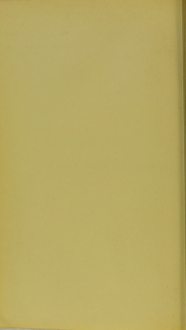 digitised image 2