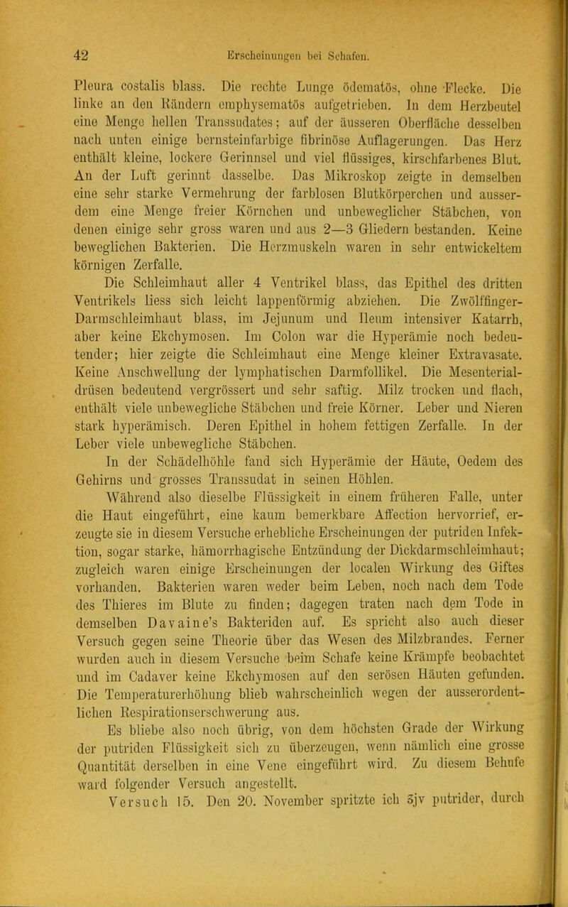 Pleura costalis blass. Die rechte Lunge ö(lemalö.s, ohne Flecke. Die linke an den Rändern oinphysematös aufgetrieben. In dem Herzbeutel eine Menge hellen Transsudates; auf der äusseren Oberfläclie desselben nach unten einige bernsteinfarbige fibrinöse Auflagerungen. Das Herz enthält kleine, lockere Gerinnsel und viel flüssiges, kirschfarbenes Blut. An der Luft gerinnt dasselbe. Das Mikroskop zeigte in demselben eine sehr starke Vermehrung der farblosen Blutkörperchen und ausser- dem eine Menge freier Körnchen und unbeweglicher Stäbchen, von denen einige sehr gross waren und aus 2—3 Gliedern bestanden. Keine beweglichen Bakterien. Die Herzmuskeln waren in sehr entwickeltem körnigen Zerfalle. Die Schleimhaut aller 4 Ventrikel blass, das Epithel des dritten Ventrikels Hess sich leicht lappenförmig abziehen. Die Zwölffinger- Darmschleimhaut blass, im Jejunum und Ileum intensiver Katarrh, aber keine Ekchymosen. Im Colon war die Hyperämie noch bedeu- tender; hier zeigte die Schleimhaut eine Menge kleiner Extravasate. Keine Anschwellung der lymphatischen Darmfollikel. Die Mesenterial- drüsen bedeutend vergrössert und sehr saftig. Milz trocken und flach, enthält viele unbewegliche Stäbchen und freie Körner. Leber und Nieren stark hyperämisch. Deren Epithel in hohem fettigen Zerfalle. In der Leber viele unbewegliche Stäbchen. In der Schädelhöhle fand sich Hyperämie der Häute, Oedem des Gehirns und grosses Transsudat in seineu Höhlen. Während also dieselbe Flüssigkeit in einem früheren Falle, unter die Haut eingeführt, eine kaum bemerkbare Aflfection hervorrief, er- zeugte sie in diesem Versuche erhebliche Erscheinungen der putriden Infek- tion, sogar starke, hämorrhagische Entzündung der Dickdarmschleimhaut; zugleich waren einige Erscheinungen der localen Wirkung des Giftes vorhanden, Bakterien waren weder beim Leben, noch nach dem Tode des Thieres im Blute zu finden; dagegen traten nach dem Tode in demselben Davaine's Bakteriden auf. Es spricht also auch dieser Versuch gegen seine Theorie über das Wesen des Milzbrandes. Ferner wurden auch in diesem Versuche beim Schafe keine Krämpfe beobachtet und im Cadaver keine Ekchymosen auf den serösen Häuten gefunden. Die Temperaturerhöhung blieb wahrscheinlich wegen der ausserordent- lichen Respirationserschweruug aus. Es bliebe also noch übrig, von dem höchsten Grade der Wirkung der putriden Flüssigkeit sich zu überzeugen, weim nämlich eine grosse Quantität derselben in eine Vene eingeführt wird. Zu diesem Behufe ward folgender Versuch angestellt. Versuch 15. Den 20. November spritzte ich Sjv putrider, durch