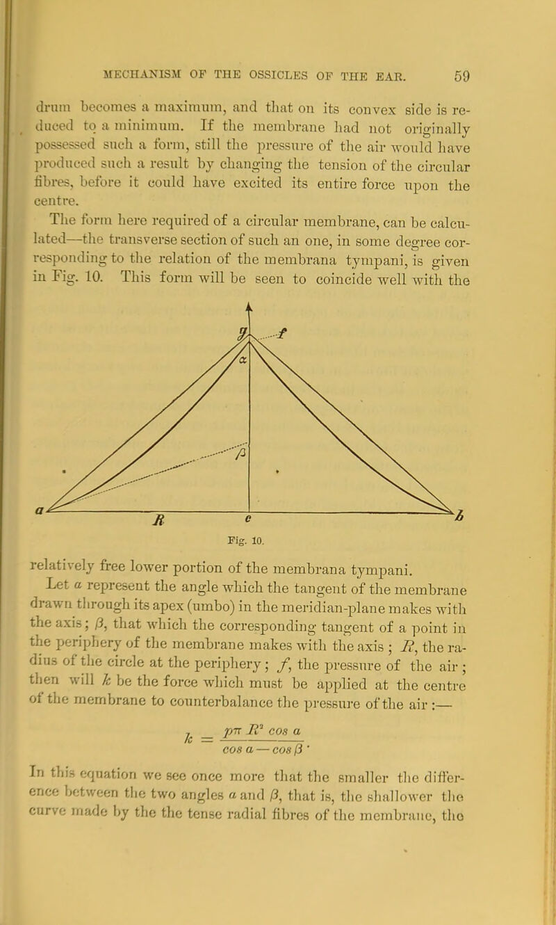 drum becomes a maximum, and that on its convex side is re- duced to a minimum. If the membrane had not originally possessed such a form, still the pressure of the air would have produced such a result by changing the tension of the circular fibres, before it could have excited its entire force upon the centre. The form here required of a circular membrane, can be calcu- lated—the transverse section of such an one, in some decree cor- responding to the relation of the membrana tympani, is given in Fig. 10. This form will be seen to coincide well with the relatively free lower portion of the membrana tympani. Let a represent the angle which the tangent of the membrane drawn through its apex (umbo) in the meridian-plane makes with the axis; /3, that which the corresponding tangent of a point in the periphery of the membrane makes with the axis ; B, the ra- dius of the circle at the periphery; /, the pressure of the air ; then will k be the force which must be applied at the centre of the membrane to counterbalance the pressure of the air : , p-n II* cos a cos a — cos (3 ' In this equation we see once more that the smaller the differ- ence between the two angles a and (3, that is, the shallower the carve made by the the tense radial fibres of the membrane, tho