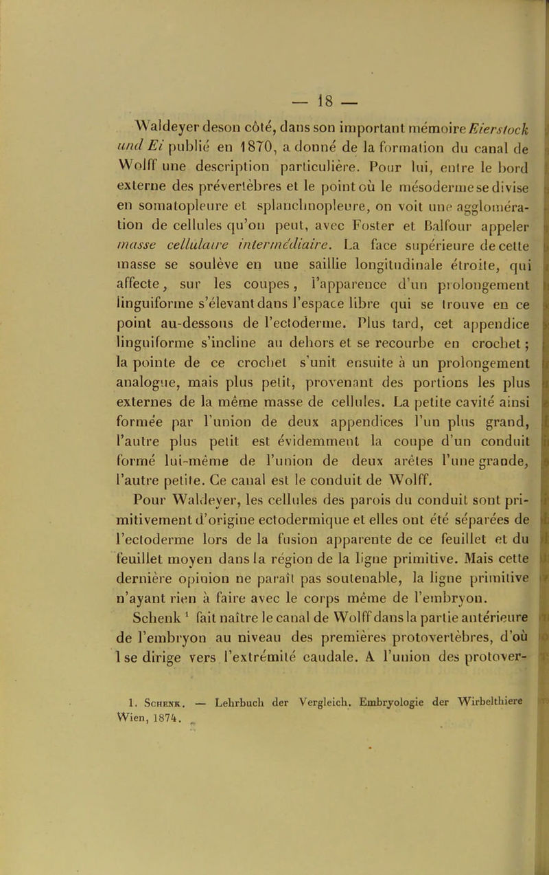 Waldeyer deson côté, dans son important mémoire Eiersfock and Ei publié en 1870, a donné de la formation du canal de Wolff une description particulière. Pour lui, entre le bord externe des préverlèbres et le point oii le mésoderme se divise en somatopleure et splanclinopleure, on voit une aggloméra- tion de cellules qu'on peut, avec Foster et Balfour appeler masse cellulaire intermédiaire. La face supérieure de cette masse se soulève en une saillie longitudinale étroite, qui affecte, sur les coupes, l'apparence d'un prolongement linguiforme s'élevantdans l'espace libre qui se trouve en ce point au-dessous de l'ectoderme. Plus tard, cet appendice linguiforme s'incline au deliors et se recourbe en crochet ; la pointe de ce crochet s'unit ensuite à un prolongement analogue, mais plus petit, provenant des portions les plus externes de la même masse de cellules. La petite cavité ainsi formée par l'union de deux appendices l'un plus grand, l'autre plus petit est évidemment la coupe d'un conduit formé lui-même de l'union de deux arêtes l'une grande, l'autre petite. Ce canal est le conduit de Wolff. Pour Waldeyer, les cellules des parois du conduit sont pri- mitivement d'origine ectodermique et elles ont été séparées de l'ectoderme lors de la fusion apparente de ce feuillet et du feuillet moyen dans la région de la ligne primitive. Mais cette dernière opinion ne paraît pas souteuable, la ligne primitive n'ayant rien à faire avec le corps même de l'embryon, Sclienk ' fait naître le canal de Wolff dans la partie antérieure de l'embryon au niveau des premières protoverlèbres, d'où 1 se dirige vers l'extrémité caudale. A l'union des protover- 1. ScHENK. — Lelirbucli der Vergleicli. Embryologie der Wirbelthiere Wien, 187^1.