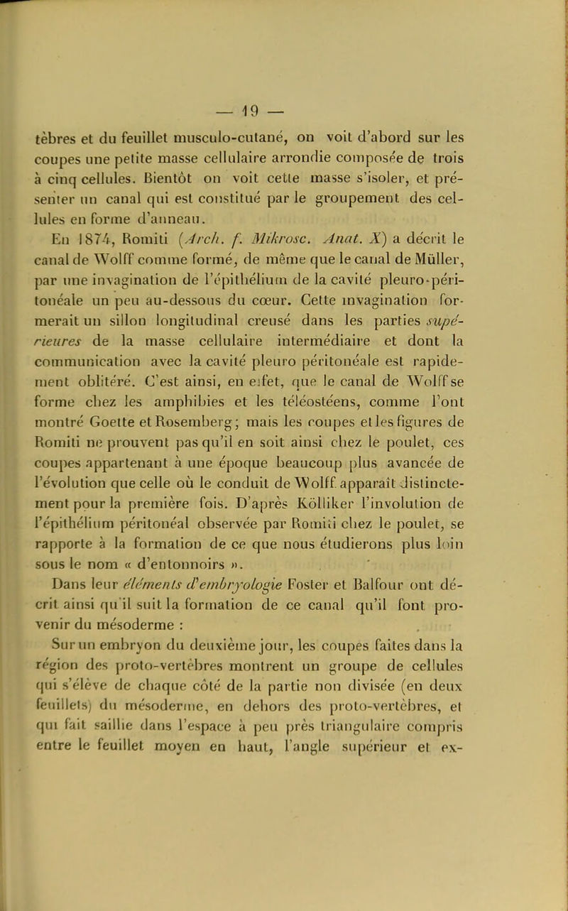 tèbres et du feuillet musculo-cutané, on voit d'abord sur les coupes une petite masse cellulaire arrondie composée de trois à cinq cellules. Bientôt on voit cette masse s'isoler, et pré- senter un canal qui est constitué par le groupement des cel- lules en forme d'anneau. En 1874, Romili [Arcli. f. Mikrosc. Anat. X) a décrit le canal de Wolff comme formé, de même que le canal de MùUer, par une invagination de l'épitliéliurn de la cavité pleuro-péri- tonéale un peu au-dessous du cœur. Cette mvagination for- merait un sillon longitudinal creusé dans les parties supé- rieures de la masse cellulaire intermédiaire et dont la communication avec la cavité pleuro péritonéale est rapide- ment oblitéré. C'est ainsi, en ejfet, que le canal de WoKf se forme cliez les amphibies et les téléostéens, comme l'ont montré Goette etRosemberg; mais les coupes et les figures de Romili ne prouvent pas qu'il en soit ainsi chez le poulet, ces coupes appartenant à une époque beaucoup plus avancée de l'évolution que celle où le conduit de Wolff apparaît distincte- ment pour la première fois. D'après Kôlliker l'involution de l'épithélium péritonéal observée par Romiïi chez le poulet, se rapporte à la formation de ce que nous étudierons plus hiin sous le nom « d'entonnoirs ». Dans leur été me n Is (T embryologie Poster et Balfour ont dé- crit ainsi qu'il suit la formation de ce canal qu'il font pro- venir du mésoderme : Sur un embryon du deuxième jour, les coupes faites dans la région des proto-vertèbres montrent un groupe de cellules qui s'élève de chaque côté de la partie non divisée (en deux fenillelsj du mésodenne, en dehors des proto-vertèbres, et qui fait saillie dans l'espace à peu près triangulaire compris entre le feuillet moyen en haut, l'angle supérieur et ex-