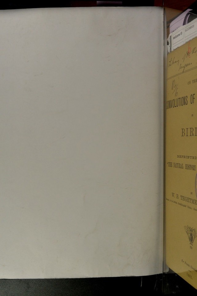 digitised image 2