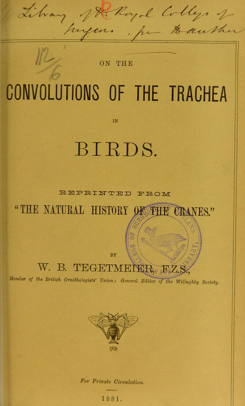 CONVOLUTIONS OF THE TRACHEA IN BIEDS. 0/ theBritUh Ornithologists' Union; General Editor of ihe WUlughhy Society. For Private Circulation. 1881.