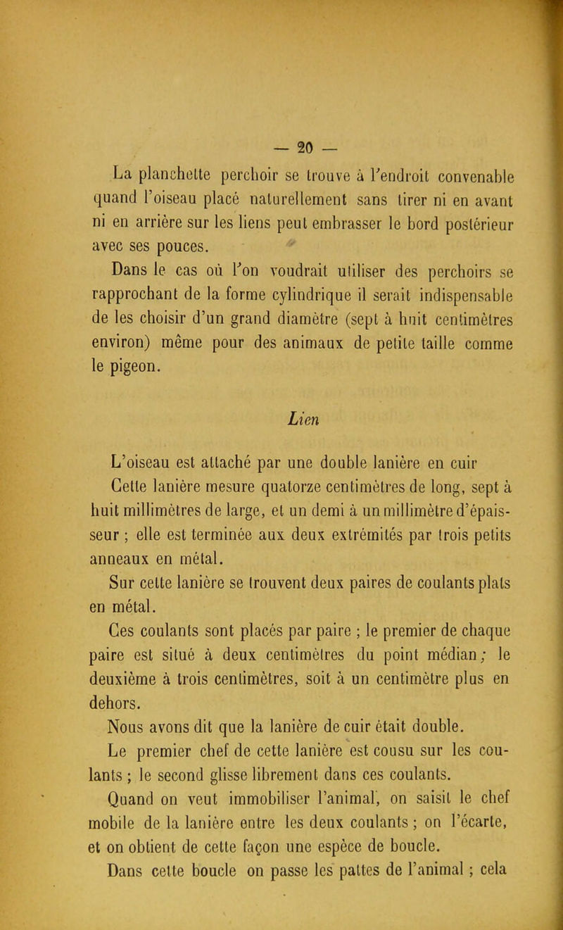La plancholle perchoir se trouve à Tendroit convenable quand l'oiseau placé naturellement sans tirer ni en avant ni en arrière sur les liens peut embrasser le bord postérieur avec ses pouces. ^-^ Dans le cas où l'*on voudrait utiliser des perchoirs se rapprochant de la forme cylindrique il serait indispensable de les choisir d'un grand diamètre (sept à huit cenlimèlres environ) même pour des animaux de petite taille comme le pigeon. Lim L'oiseau est attaché par une double lanière en cuir Cette lanière mesure quatorze centimètres de long, sept à huit millimètres de large, et un demi à un millimètre d'épais- seur ; elle est terminée aux deux extrémités par trois petits anneaux en métal. Sur celte lanière se trouvent deux paires de coulants plats en métal. Ces coulants sont placés par paire ; le premier de chaque paire est situé à deux centimèires du point médian; le deuxième à trois centimètres, soit à un centimètre plus en dehors. Nous avons dit que la lanière de cuir était double. Le premier chef de cette lanière est cousu sur les cou- lants ; le second glisse librement dans ces coulants. Quand on veut immobiliser l'animal, on saisit le chef mobile de la lanière entre les deux coulants; on l'écarle, et on obtient de cette façon une espèce de boucle. Dans cette boucle on passe les pattes de l'animal ; cela