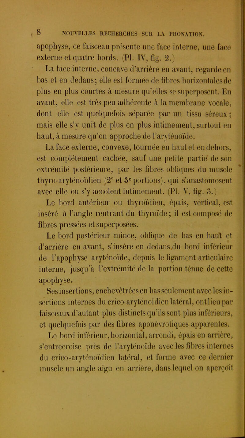 apophyse, ce faisceau présente une face interne, une face externe et quatre bords. (Pl. IV, fig. 2.) La face interne, concave d'arrière en avant, regarde en bas et en dedans; elle est formée de fibres horizontales de plus en plus courtes à mesure qu'elles se superposent. En avant, elle est très peu adhérente à la membrane vocale, dont elle est quelquefois séparée par un tissu séreux ; mais elle s'y unit de plus en plus intimement, surtout en haut, à mesure qu'on approche de l'aryténoïde. La face externe, convexe, tournée en haut et en dehors, est complètement cachée, sauf une petite partie de son extrémité postérieure, par les fibres obliques du muscle thyro-aryténoïdien (2e et 3eportions), qui s'anastomosent avec elle ou s'y accolent intimement. (Pl. V, fig. 3.) Le bord antérieur ou thyroïdien, épais, vertical, est inséré à l'angle rentrant du thyroïde; il est composé de fibres pressées et superposées. Le bord postérieur mince, oblique de bas en haut et f d'arrière eu avant, s'insère en dedans .du bord inférieur de l'apophyse aryténoïde, depuis le ligament articulaire interne, jusqu'à l'extrémité de la portion ténue de cette apophyse. Ses insertions, enchevêtrées en bas seulement avec les in- sertions internes du crico-aryténoïdien latéral, ontlieupar faisceaux d'autant plus distincts qu'ils sont plus inférieurs, et quelquefois par des fibres aponévrotiques apparentes. Le bord inférieur,horizontal, arrondi, épais en arrière, s'entrecroise près de l'aryténoïde avec les filtres internes du crico-aryténoïdien latéral, et forme avec ce dernier muscle un angle aigu en arrière, dans lequel on aperço'il