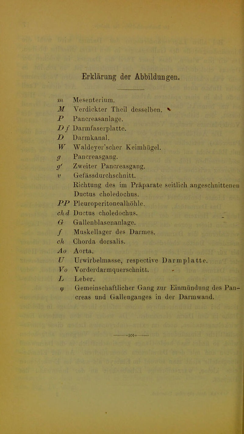 Erklärung der Abbildungen. m Mesenterium. M Verdickter Theil desselben. ^ P Pancreasanlage. D f Darmfaserplatte. D Darmkanal. W Waldeyer’scher Keimhügel. g Pancreasgang. g' Zweiter Pancreasgang. V Gefässdurchschnitt. Richtung des im Präparate seitlich angeschnittenen Ductus choledochus. PP Pleuroperitonealhöhle. chd Ductus choledochus. O Gallenblasenanlage. / Muskellager des Darmes. ch Chorda dorsalis, Ao Aorta. P Urwirbelmasse, respective Darmplatte. Vo Vorderdarmquerschnitt. P Leber. qp Gemeinschaftlicher Gang zur Einmündung des Pan- creas und Gallenganges in der Darmwand.