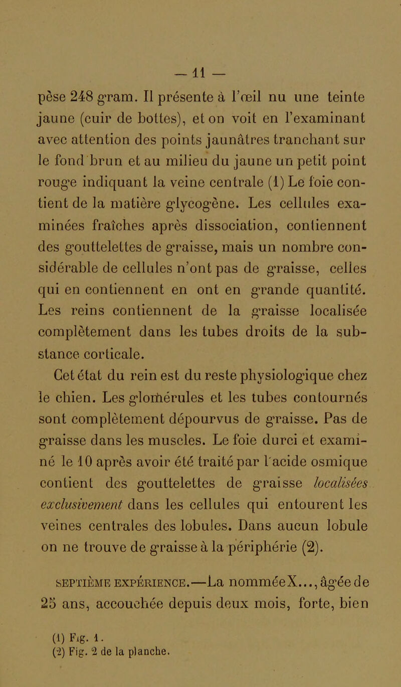 —11 pèse 248 gram. Il présente à l’œil nu une teinte jaune (cuir de bottes), et on voit en l’examinant avec attention des points jaunâtres tranchant sur le fond brun et au milieu du jaune un petit point roug'e indiquant la veine centrale (1) Le foie con- tient de la matière gdycog-ène. Les cellules exa- minées fraîches après dissociation, contiennent des gmittelettes de graisse, mais un nombre con- sidérable de cellules n’ont pas de graisse, celles qui en contiennent en ont en grande quantité. Les reins contiennent de la graisse localisée complètement dans les tubes droits de la sub- stance corticale. Cet état du rein est du reste physiologique chez le chien. Les gdoiiiérules et les tubes contournés sont complètement dépourvus de graisse. Pas de graisse dans les muscles. Le foie durci et exami- né le 10 après avoir été traité par l'acide osmique contient des gouttelettes de graisse localisées exclusivement dans les cellules qui entourent les veines centrales des lobules. Dans aucun lobule on ne trouve de graisse à la périphérie (2). septième expérience.—La nomméeX..., âg*éede 25 ans, accouchée depuis deux mois, forte, bien (1) Fig. 1. (-2) Fig. °2 de la planche.