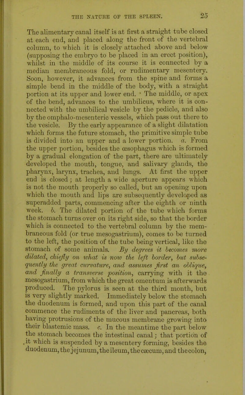 The alimentary canal itself is at first a straight tube closed at each end, and placed along the front of the vertebral column, to which it is closely attached above and below (supposing the embryo to be placed in an erect position), whilst in the middle of its course it is connected by a median membraneous fold, or rudimentary mesentery. Soon, however, it advances from the spine and forms a simple bend in the middle of the body, with a sti-aight portion at its upper and lower end. • The middle, or apex of the bend, advances to the umbilicus, where it is con- nected with the umbilical vesicle by the pedicle, and also by the omphalo-mesenterio vessels, which pass out there to the vesicle. By the early appeamnce of a slight dilatation which forms the future stomach, the primitive sunple ttibe is divided into an upper and a lower portion, a. From the upper portion, besides the oesophagus which is formed by a gradual elongation of the part, there are ultimately developed the mouth, tongue, and salivaiy glauds, the pharynx, larynx, trachea, and lungs. At first the upper end is closed; at length a wide aperture appears which is not the mouth properly so called, but an opening upon which the mouth and lips are subsequently develapcd as superadded parts, commencing after the eighth or ninth week. b. The dilated portion of the tube which forms the stomach turns over on its right side, so that the border which is connected to the vertebral column by the mem- braneous fold (or true mesogastrium), comes to be turned to the left, the position of the tube being vertical, liite the stomach of some animals. £1/ degrees it becomes more dilated, chiefly on what is now the left border, hut suhse- qxiently the great cxirvature, and assumes first an oblique, and finally a transverse position, carrying with it the mesogastrium, from which the great omentum is afterwards produced. The pylorus is seen at the third month, but is very slightly marked. Immediately below the stomach the duodenum is formed, and upon this part of the canal commence the rudiments of the liver and pancreas, both having protrusions of the mucous membrane growing into their blastemic mass. c. In the meantime the part below the stomach becomes the intestinal canal; that portion of it which is suspended by a mesentery forming, besides the duodenum, the j ej unum, the ileum, the caecum, and the colon,