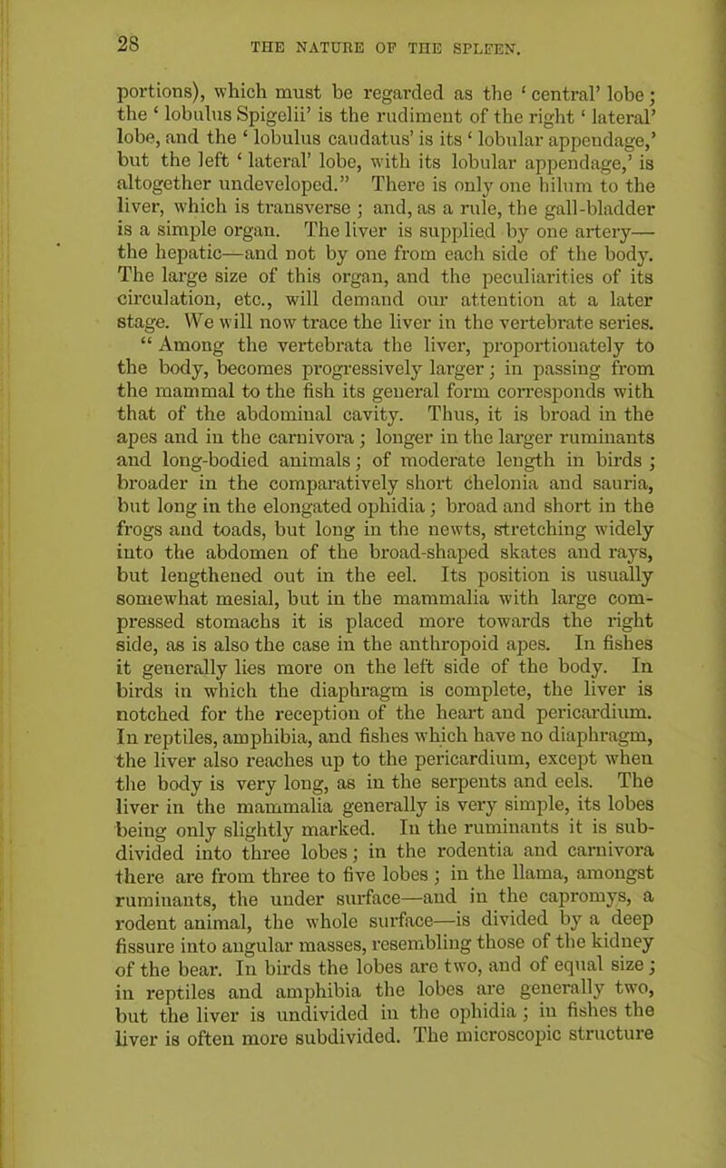 portions), which must be regarded as the ' central' lobe; the ' lobulus Spigelii' is the rudiment of the right' lateral' lobe, and the ' lobulus caudatus' is its ' lobular appendage,' but the left ' lateral' lobe, with its lobular appendage,' is altogether undeveloped. There is only one liilum to the liver, which is transverse ; and, as a rule, the gall-bladder is a simjjle organ. The liver is supplied by one artery— the hepatic—and not by one from each side of the body. The large size of this organ, and the peculiarities of its circulation, etc., will demand our attention at a later stage. We will now trace the liver in the vertebrate series.  Among the vertebrata the liver, proportionately to the body, becomes progressively larger; in passing from the mammal to the fish its general form con-esponds with that of the abdominal cavity. Thus, it is broad in the apes and in the carnivoi-a ; longer in the larger ruminants and long-bodied animals; of moderate length in birds ; broader in the comparatively short chelonia and sauria, but long in the elongated ophidia; broad and short in the frogs and toads, but long in the newts, stretching widely into the abdomen of the broad-shaped skates and rays, but lengthened out in the eel. Its position is usually somewhat mesial, but in the mammalia with large com- pressed stomachs it is placed more towards the right side, as is also the case in the anthropoid apes. In fishes it generally lies more on the left side of the body. In birds in which the diaphragm is complete, the liver is notched for the reception of the heai-t and pericardiimi. In reptiles, amphibia, and fishes which have no diaphragm, the liver also reiiches up to the pericardium, except when the body is very long, as in the serpents and eels. The liver in the mammalia generally is very simple, its lobes being only slightly marked. In the ruminants it is sub- divided into three lobes; in the rodentia and carnivora there are from three to five lobes ; in the llama, amongst ruminants, the under surface—and in the capromys, a rodent animal, the whole surface—is divided by a deep fissure into angular masses, resembling those of the kidney of the bear. In birds the lobes are two, and of equal size; in reptiles and amphibia the lobes are generally two, but the liver is undivided in the ophidia ; in fishes the liver is often more subdivided. The microscopic structure