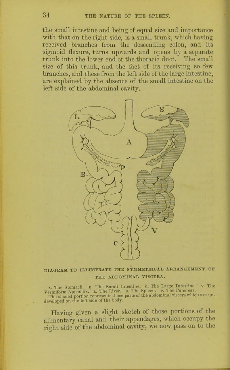 the small intestine and being of equal size and importance with that on the riglit side, is a small trunk, which having received branches from the descending colon, and its sigmoid flexure, turns upwards and opens by a separate trunk into the lower end of the thoracic duct. The small size of this tinmk, and the fact of its receiving so few branches, and these from the left side of the large intestine, are explained by the absence of the small intestine on the left side of the abdominal cavity. DIAGRAM TO ILIxUSTBATE THE STMMETErCAL ARRANGEMENT OF THE ABDOMINAL VISCERA. A The Stonmcli. B. The Small Intestine, c. The Large Intestine, v. The Vei'mifoi-m Appendix. L. The T,iver. B. The Spleen. P. The Pancreas. The shaded portion represents tliose parts of the abdominal viscera which are un- developed on the left side of the body. Havino- given a slight sketch of those portions of the alimentary canal and their appendages, which occupy the rio'ht side of the abdominal cavity, we now pass on to tlie