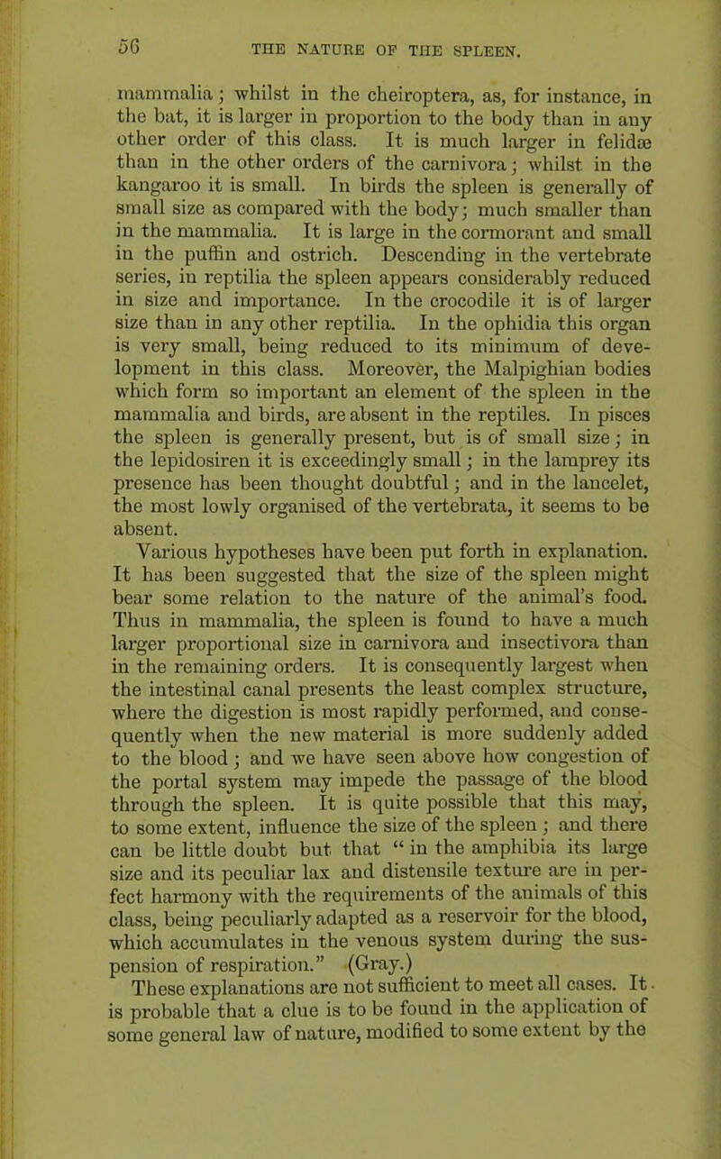 mammalia; whilst in the cheiroptera, as, for instance, in the bat, it is larger iu proportion to the body than in any- other order of this class. It is much larger in felidaj than in the other orders of the carnivora; whilst in the kangaroo it is small. In birds the spleen is generally of small size as compared with the body; much smaller than in the mammalia. It is large in the cormorant and small in the puffin and ostrich. Descending in the vertebrate series, in reptilia the spleen appears considerably reduced in size and importance. In the crocodile it is of larger size than in any other reptilia. In the ophidia this organ is very small, being reduced to its minimum of deve- lopment in this class. Moreover, the Malpighian bodies which form so impoi'tant an element of the spleen in the mammalia and birds, are absent in the reptiles. In pisces the spleen is generally present, but is of small size; in the lepidosiren it is exceedingly small; in the lamprey its presence has been thought doubtful; and in the lancelet, the most lowly organised of the vertebrata, it seems to be absent. Various hypotheses have been put forth in explanation. It has been suggested that the size of the spleen might bear some relation to the nature of the animal's food. Thus in mammalia, the spleen is found to have a much larger proportional size in carnivora and insectivora than in the remaining orders. It is consequently lai-gest when the intestinal canal presents the least complex structure, where the digestion is most rapidly performed, and conse- quently when the new material is more suddenly added to the blood ; and we have seen above how congestion of the portal system may impede the passage of the blood through the spleen. It is quite possible that this may, to some extent, influence the size of the spleen ; and there can be little doubt but that  in the amphibia its large size and its peculiar lax and distensile textiu-e are in per- fect harmony with the requirements of the animals of this class, being peculiarly adapted as a reservoir for the blood, which accumulates iu the venous system during the sus- pension of respiration. (Gray.) These explanations are not sufficient to meet all cases. It. is probable that a clue is to bo found in the application of some general law of nature, modified to some extent by the