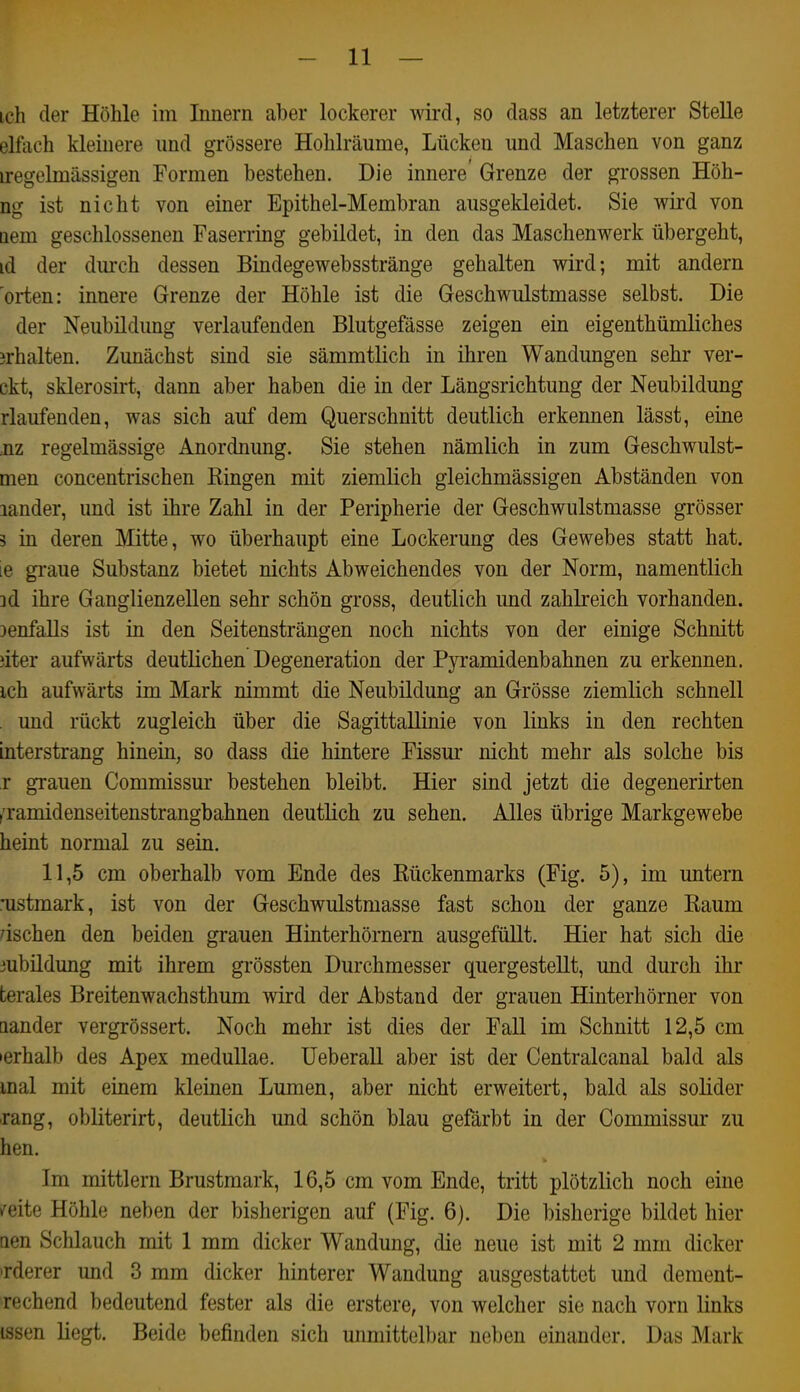 ich der Höhle im Innern aber lockerer wird, so dass an letzterer Stelle elfach kleinere und grössere Hohlräume, Lücken und Maschen von ganz iregelmässigen Formen bestehen. Die innere Grenze der grossen Höh- ng ist nicht von einer Epithel-Membran ausgekleidet. Sie wird von Qem geschlossenen Faserring gebildet, in den das Maschenwerk übergeht, id der durch dessen Bindegewebsstränge gehalten wird; mit andern orten: innere Grenze der Höhle ist die Geschwulstmasse selbst. Die der Neubildung verlaufenden Blutgefässe zeigen ein eigenthümliches jrhalten. Zunächst sind sie sämmtlich in ihren Wandungen sehr ver- ckt, sklerosirt, dann aber haben die in der Längsrichtung der Neubildung rlaufenden, was sich auf dem Querschnitt deutlich erkennen lässt, eine ,nz regelmässige Anordnung. Sie stehen nämlich in zum Geschwulst- men concentrischen Ringen mit ziemlich gieichmässigen Abständen von lander, und ist ihre Zahl in der Peripherie der Geschwulstmasse grösser 3 in deren Mitte, wo überhaupt eine Lockerung des Gewebes statt hat. le graue Substanz bietet nichts Abweichendes von der Norm, namentlich 3d ihre Ganglienzellen sehr schön gross, deutlich imd zahlreich vorhanden. DenfaUs ist in den Seitensträngen noch nichts von der einige Schnitt jiter aufwärts deutlichen Degeneration der Pyramidenbahnen zu erkennen, ich aufwärts im Mark nimmt die Neubildung an Grösse ziemlich schnell , und rückt zugleich über die Sagittallinie von links in den rechten interstrang hinein, so dass die hintere Fissm* nicht mehr als solche bis r grauen Commissur bestehen bleibt. Hier sind jetzt die degenerirten ^'ramidenseitenstrangbahnen deutlich zu sehen. Alles übrige Markgewebe heint normal zu sein. 11,5 cm oberhalb vom Ende des Rückenmarks (Fig. 5), im untern rustmark, ist von der Geschwulstmasse fast schon der ganze Raum zischen den beiden grauen Hinterhörnern ausgefüllt. Hier hat sich die jubildung mit ihrem grössten Durchmesser quergestellt, und durch ihr terales Breitenwachsthum wird der Abstand der grauen Hinterhörner von nander vergrössert. Noch mehr ist dies der Fall im Schnitt 12,5 cm »erhalb des Apex medullae. UeberaU aber ist der Centralcanal bald als mal mit einem kleinen Lumen, aber nicht erweitert, bald als solider ■rang, obliterirt, deutlich und schön blau gefärbt in der Commissur zu hen. Im mittlem Brustmark, 16,5 cm vom Ende, tritt plötzlich noch eine /eite Höhle neben der bisherigen auf (Fig. 6). Die bisherige bildet hier Qen Schlauch mit 1 mm dicker Wandung, die neue ist mit 2 mm dicker Tderer und 3 mm dicker hinterer Wandung ausgestattet und dement- ■rechend bedeutend fester als die erstere, von welcher sie nach vorn links issen liegt. Beide befinden sich unmittelbar neben einander. Das Mark