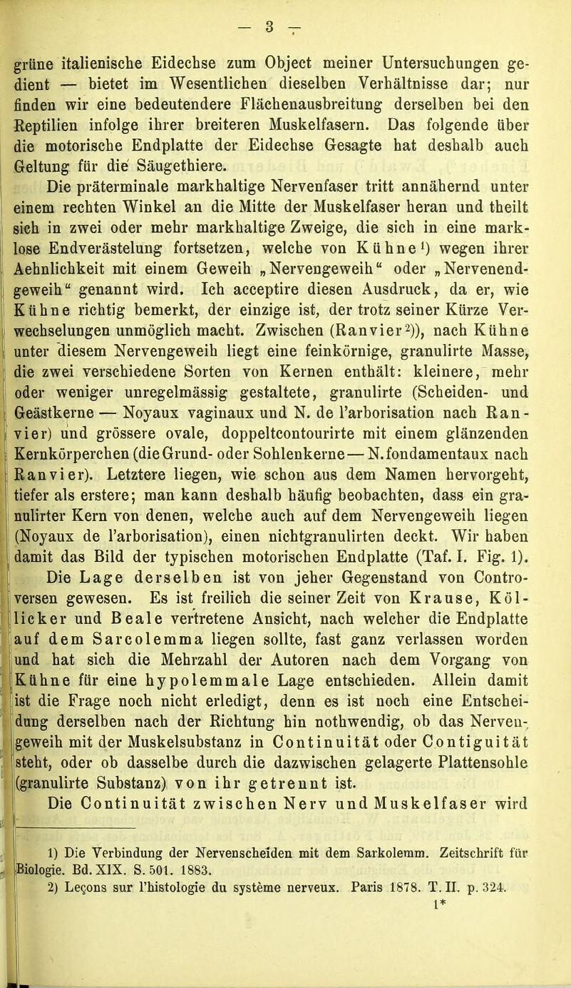 grüne italienische Eidechse zum Object meiner Untersuchungen ge- dient — bietet im Wesentlichen dieselben Verhältnisse dar; nur finden wir eine bedeutendere Flächenausbreitung derselben bei den Reptilien infolge ihrer breiteren Muskelfasern. Das folgende über die motorische Endplatte der Eidechse Gesagte hat deshalb auch Geltung für die Säugethiere. Die präterminale markhaltige Nervenfaser tritt annähernd unter einem rechten Winkel an die Mitte der Muskelfaser heran und theilt sich in zwei oder mehr markhaltige Zweige, die sich in eine mark- lose Endverästelung fortsetzen, welche von Kühne1) wegen ihrer Aehnlichkeit mit einem Geweih „Nervengeweih“ oder „Nervenend- geweih“ genannt wird. Ich acceptire diesen Ausdruck, da er, wie Kühne richtig bemerkt, der einzige ist, der trotz seiner Kürze Ver- wechselungen unmöglich macht. Zwischen (Ranvier2)), nach Kühne unter diesem Nervengeweih liegt eine feinkörnige, granulirte Masse, die zwei verschiedene Sorten von Kernen enthält: kleinere, mehr oder weniger unregelmässig gestaltete, granulirte (Scheiden- und Geästkerne — Noyaux vaginaux und N. de l’arborisation nach Ran- vier) und grössere ovale, doppeltcontourirte mit einem glänzenden Kernkörperchen (die Grund- oder Sohlenkerne — N.fondamentaux nach Ran vier). Letztere liegen, wie schon aus dem Namen hervorgeht, tiefer als erstere; man kann deshalb häufig beobachten, dass ein gra- nulirter Kern von denen, welche auch auf dem Nervengeweih liegen (Noyaux de l’arborisation), einen nicbtgranulirten deckt. Wir haben damit das Bild der typischen motorischen Endplatte (Taf. I. Fig. 1). Die Lage derselben ist von jeher Gegenstand von Contro- versen gewesen. Es ist freilich die seiner Zeit von Krause, Köl- licker und Beale vertretene Ansicht, nach welcher die Endplatte auf dem Sarcolemma liegen sollte, fast ganz verlassen worden und hat sich die Mehrzahl der Autoren nach dem Vorgang von Kühne für eine hypolemmale Lage entschieden. Allein damit ist die Frage noch nicht erledigt, denn es ist noch eine Entschei- Idung derselben nach der Richtung hin nothwendig, ob das Nerven- geweih mit der Muskelsubstanz in Continuität oder Contiguität steht, oder ob dasselbe durch die dazwischen gelagerte Plattensohle (granulirte Substanz) von ihr getrennt ist. Die Continuität zwischen Nerv und Muskelfaser wird 1) Die Verbindung der Nervenscheiden mit dem Sarkolemm. Zeitschrift für Biologie. Bd. XIX. S. 501. 1883. 2) Letjons sur l’histologie du Systeme nerveux. Paris 1878. T. II. p. 324.