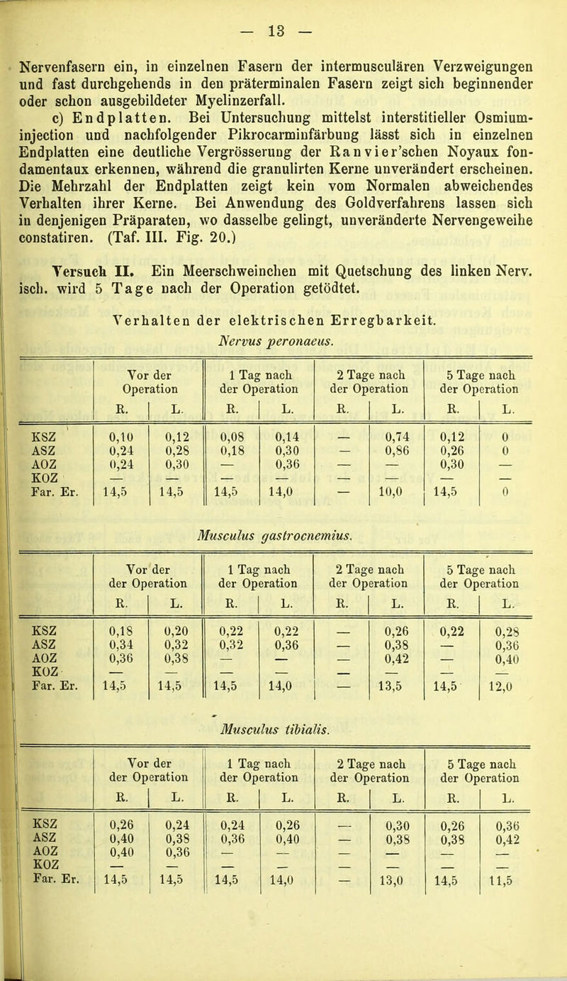 Nervenfasern ein, in einzelnen Fasern der intermusculären Verzweigungen und fast durchgehende in den präterminalen Fasern zeigt sich beginnender oder schon ausgebildeter Myelinzerfall. c) Endplatten. Bei Untersuchung mittelst interstitieller Osmium- injection und nachfolgender Pikrocarminfärbung lässt sich in einzelnen Endplatten eine deutliche Vergrösserung der Ranvier’schen Noyaux fon- damentaux erkennen, während die granulirten Kerne unverändert erscheinen. Die Mehrzahl der Endplatten zeigt kein vom Normalen abweichendes Verhalten ihrer Kerne. Bei Anwendung des Goldverfahrens lassen sich in denjenigen Präparaten, wo dasselbe gelingt, unveränderte Nervengeweihe constatiren. (Taf. III. Fig. 20.) Versuch II. Ein Meerschweinchen mit Quetschung des linken Nerv, isch. wird 5 Tage nach der Operation getödtet. Verhalten der elektrischen Erregbarkeit. Nervus peronaeus. Vor der 1 Tag nach 2 Tage nach 5 Tage nach Operation der Operation der Operation der Operation R. L. R. L. R. L. R. L. KSZ 0,10 0,12 0,08 0,14 0,74 0,12 0 ASZ 0,24 0,28 0,18 0,30 — 0,86 0,26 0 AOZ 0,24 0,30 — 0,36 — — 0,30 — KOZ — — — — — — — — Far. Er. 14,5 14,5 14,5 14,0 — 10,0 14,5 0 Musculus gastrocnemius. Vor der 1 Tag nach 2 Tage nach 5 Tage nach der Operation der Operation der Operation der Operation R. L. R. L. R. L. R. L. KSZ 0,18 0,20 0,22 0,22 0,26 0,22 0,28 ASZ 0,34 0,32 0,32 0,36 — 0,38 — 0,36 AOZ 0,36 0,38 — — — 0,42 — 0,40 KOZ — — — — — — — — Far. Er. 14,5 14,5 14,5 14,0 — 13,5 14,5 12,0 Musculus tibialis. Vor der 1 Tag nach 2 Tage nach 5 Tage nach der Operation der Operation der Operation der Operation R. L. R. L. R. L. R. L. 1 KSZ 0,26 0,24 0,24 0,26 0,30 0,26 0,36 ASZ 0,40 0,38 0,36 0,40 — 0,38 0,38 0,42 AOZ 0,40 0,36 — — — — — — Far. Er. 14,5 14,5 14,5 14,0 — 13,0 14,5 11,5