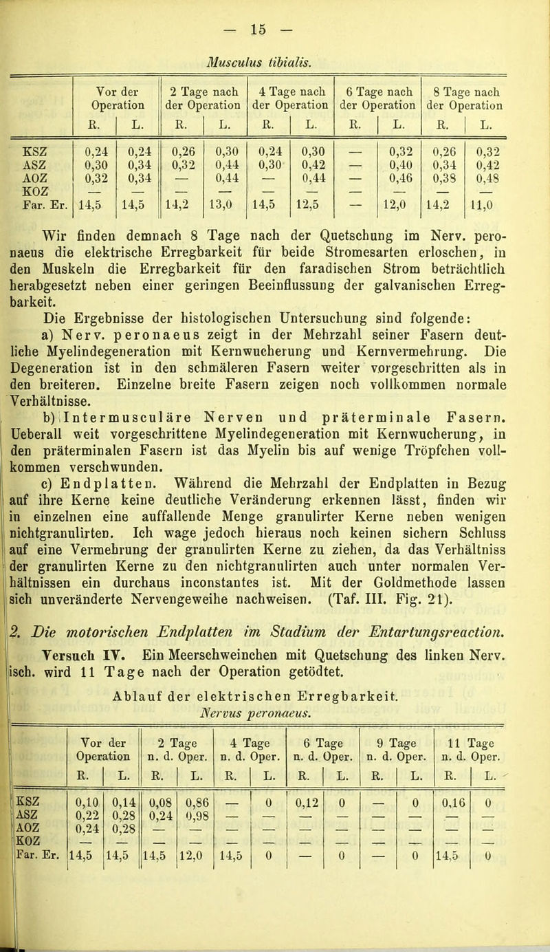 Musculus tibialis. Vor der 2 Tage nach 4 Tage nach 6 Tage nach 8 Tage nach Operation der Operation der Operation der Operation der Operation R. L. R. L. R. L. R. L. R. L. KSZ 0,24 0,24 0,26 0,30 0,24 0,30 0,32 0,26 0,32 ASZ 0,30 0,34 0,32 0,44 0,30 0,42 — 0,40 0,34 0,42 AOZ 0,32 0,34 — 0,44 — 0,44 — 0,46 0,38 0,48 KOZ Far. Er. 14,5 14,5 14,2 13,0 14,5 12,5 — 12,0 14,2 11,0 Wir finden demnach 8 Tage nach der Quetschung im Nerv, pero- naeus die elektrische Erregbarkeit für beide Stromesarten erloschen, in den Muskeln die Erregbarkeit für den faradischen Strom beträchtlich herabgesetzt neben einer geringen Beeinflussung der galvanischen Erreg- barkeit. Die Ergebnisse der histologischen Untersuchung sind folgende: a) Nerv, peronaeus zeigt in der Mehrzahl seiner Fasern deut- liche Myelindegeneration mit Kernwucherung und Kernvermehrung. Die Degeneration ist in den schmäleren Fasern weiter vorgeschritten als in den breiteren. Einzelne breite Fasern zeigen noch vollkommen normale Verhältnisse. b) Intermusculäre Nerven und präterminale Fasern. Ueberall weit vorgeschrittene Myelindegeneration mit Kern Wucherung, in den präterminalen Fasern ist das Myelin bis auf wenige Tröpfchen voll- kommen verschwunden. c) Endplatten. Während die Mehrzahl der Endplatten in Bezug auf ihre Kerne keine deutliche Veränderung erkennen lässt, finden wir in einzelnen eine auffallende Menge granulirter Kerne neben wenigen nichtgranulirten. Ich wage jedoch hieraus noch keinen sichern Schluss auf eine Vermehrung der granulirten Kerne zu ziehen, da das Verhältniss der granulirten Kerne zu den nichtgranulirten auch unter normalen Ver- hältnissen ein durchaus inconstantes ist. Mit der Goldmethode lassen sich unveränderte Nervengeweihe nachweisen. (Taf. III. Fig. 21). 2. Die motorischen Endplatten im Stadium der Entartungsreaction. Versuch IV. Ein Meerschweinchen mit Quetschung des linken Nerv. Iisch. wird 11 Tage nach der Operation getödtet. Ablauf der elektrischen Erregbarkeit. Nervus peronaeus. Vor der 2 Tage 4 Tage 6 Tage 9 Tage 11 Tage Operation n. d. Oper. n. d. Oper. n. d. Oper. n. d. Oper. n. d. Oper. R. L. R. L. R. L. R. L. R. L. R. L. KSZ 0,10 0,14 0,08 0,86 0 0,12 0 0 0,16 0 j ASZ 0,22 0,28 0,24 0,98 AOZ 0,24 0,28 äkoz