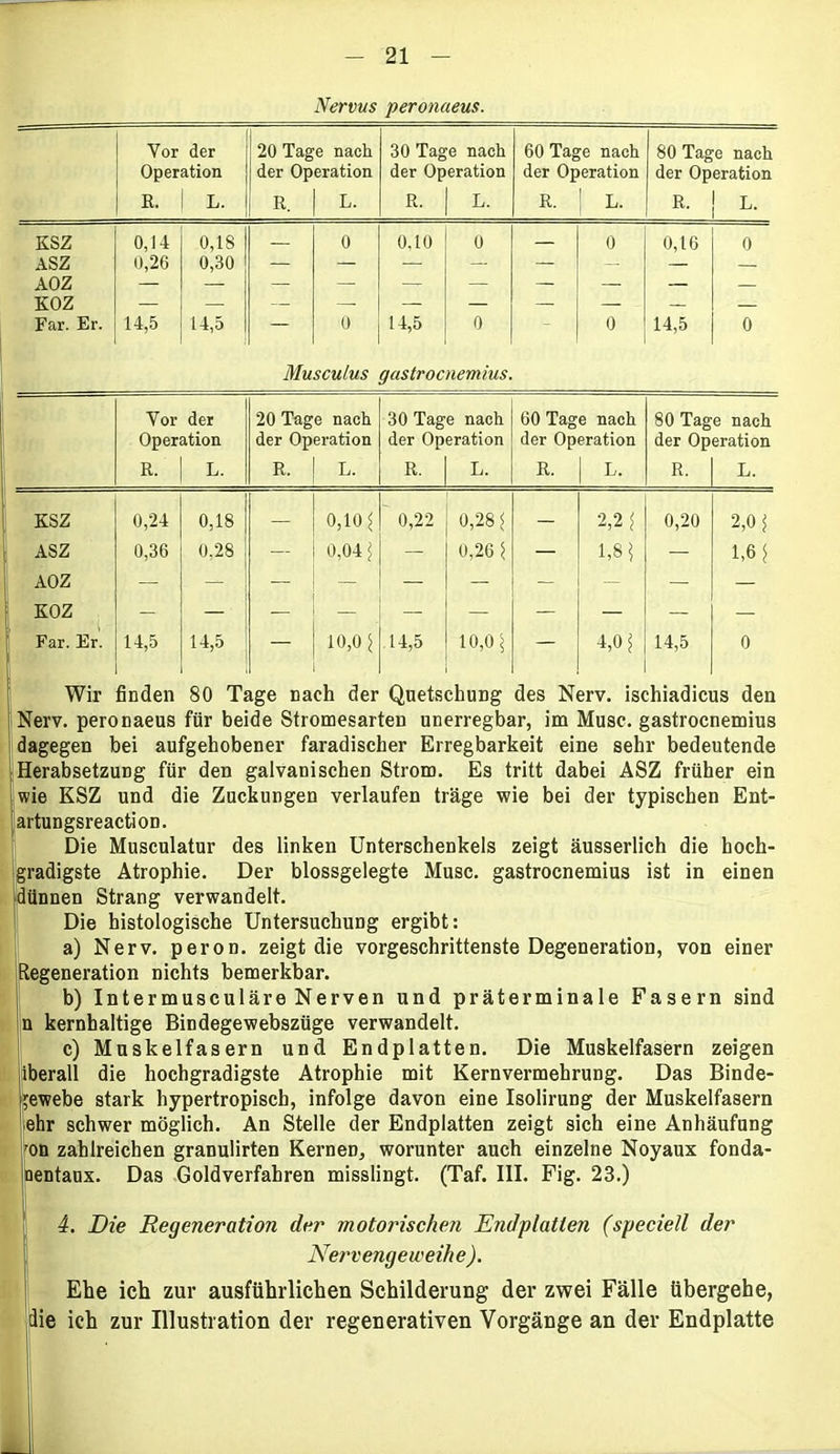 Nervus peronaeus. Vor der 20 Tage nach 30 Tage nach 60 Tage nach 80 Tage nach Operation der Operation der Operation der Operation der Operation E. L. E. L. E. L. E. L. E. L. KSZ 0,14 0,18 0 0,10 0 — 0 0,16 0 ASZ AOZ KOZ Far. Er. 0,26 0,30 — 14,5 14,5 — 0 14,5 0 - ° 14,5 0 Musculus gastrocnemius. Vor der Operation 20 Tage nach der Operation 30 Tage nach der Operation 60 Tage nach der Operation 80 Tage nach der Operation E. L. E. L. E. L. E. L. E. L. KSZ 0,24 0,18 o,io* 0,22 0,28* — 2,2* 0,20 2,0* ASZ 0,36 0,28 0,04 * — 0,26 * — 1,8* — 1,6* AOZ KOZ Far. Er. 14,5 14,5 10,0 \ 14,5 10,0* — 4,0* 14,5 0 Wir finden 80 Tage nach der Quetschung des Nerv, ischiadicus den Nerv, peronaeus für beide Stromesarten unerregbar, im Muse, gastrocnemius dagegen bei aufgehobener faradischer Erregbarkeit eine sehr bedeutende Herabsetzung für den galvanischen Strom. Es tritt dabei ASZ früher ein wie KSZ und die Zuckungen verlaufen träge wie bei der typischen Ent- artungsreaction. Die Musculatur des linken Unterschenkels zeigt äusserlich die hoch- gradigste Atrophie. Der blossgelegte Muse, gastrocnemius ist in einen dünnen Strang verwandelt. Die histologische Untersuchung ergibt: a) Nerv, peron. zeigt die vorgeschrittenste Degeneration, von einer Regeneration nichts bemerkbar. b) Intermusculäre Nerven und präterminale Fasern sind n kernhaltige Bindegewebszüge verwandelt. c) Muskelfasern und Endplatten. Die Muskelfasern zeigen iberall die hochgradigste Atrophie mit Kernvermehrung. Das Binde- gewebe stark hypertropisch, infolge davon eine Isolirung der Muskelfasern ehr schwer möglich. An Stelle der Endplatten zeigt sich eine Anhäufung ron zahlreichen granulirten KerneD, worunter auch einzelne Noyaux fonda- nentaux. Das Goldverfahren misslingt. (Taf. III. Fig. 23.) 4. Die Regeneration der motorischen Endplatten (speciell der Nervengeweihe ). Ehe ich zur ausführlichen Schilderung der zwei Fälle übergehe, die ich zur Illustration der regenerativen Vorgänge an der Endplatte