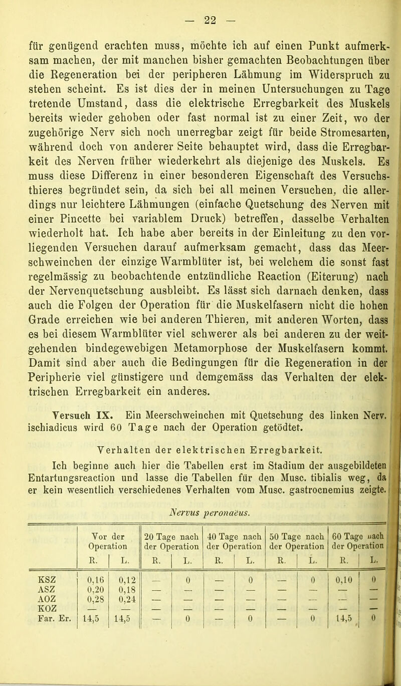 Versuch IX. Eia Meerschweinchen mit Quetschung des linken Nerv, ischiadicus wird 60 Tage nach der Operation getödtet. Verhalten der elektrischen Erregbarkeit. Ich beginne auch hier die Tabellen erst im Stadium der ausgebildeten Entartungsreaction und lasse die Tabellen für den Muse, tibialis weg, da er kein wesentlich verschiedenes Verhalten vom Muse, gastroenemius zeigte. Nervus peronaeus. für genügend erachten muss, möchte ich auf einen Punkt aufmerk- sam machen, der mit manchen bisher gemachten Beobachtungen über die Regeneration bei der peripheren Lähmung im Widerspruch zu stehen scheint. Es ist dies der in meinen Untersuchungen zu Tage tretende Umstand, dass die elektrische Erregbarkeit des Muskels bereits wieder gehoben oder fast normal ist zu einer Zeit, wo der zugehörige Nerv sich noch unerregbar zeigt für beide Stromesarten, während doch von anderer Seite behauptet wird, dass die Erregbar- keit des Nerven früher wiederkehrt als diejenige des Muskels. Es muss diese Differenz in einer besonderen Eigenschaft des Versuchs- thieres begründet sein, da sich bei all meinen Versuchen, die aller- dings nur leichtere Lähmungen (einfache Quetschung des Nerven mit einer Pincette bei variablem Druck) betreffen, dasselbe Verhalten wiederholt hat. Ich habe aber bereits in der Einleitung zu den vor- liegenden Versuchen darauf aufmerksam gemacht, dass das Meer- schweinchen der einzige Warmblüter ist, bei welchem die sonst fast regelmässig zu beobachtende entzündliche Reaction (Eiterung) nach der Nervenquetschung ausbleibt. Es lässt sich darnach denken, dass auch die Folgen der Operation für die Muskelfasern nicht die hohen Grade erreichen wie bei anderen Thieren, mit anderen Worten, dass es bei diesem Warmblüter viel schwerer als bei anderen zu der weit- gehenden bindegewebigen Metamorphose der Muskelfasern kommt. Damit sind aber auch die Bedingungen für die Regeneration in der Peripherie viel günstigere und demgemäss das Verhalten der elek- trischen Erregbarkeit ein anderes. Vor der 20 Tage nach 40 Tage nach 50 Tage nach 60 Tage nach Operation der Operation der Operation der Operation der Operation R. L. R, L. R. L. R. L. R. L. KSZ 0,16 0,12 _ 0 0 0 0,10 0 ASZ 0,20 0,18 — — — — — — — — AOZ 0,28 0,24 — — — — — — — — KOZ — Far. Er. 14,5 14,5 — 0 — 0 — 0 14,5 0