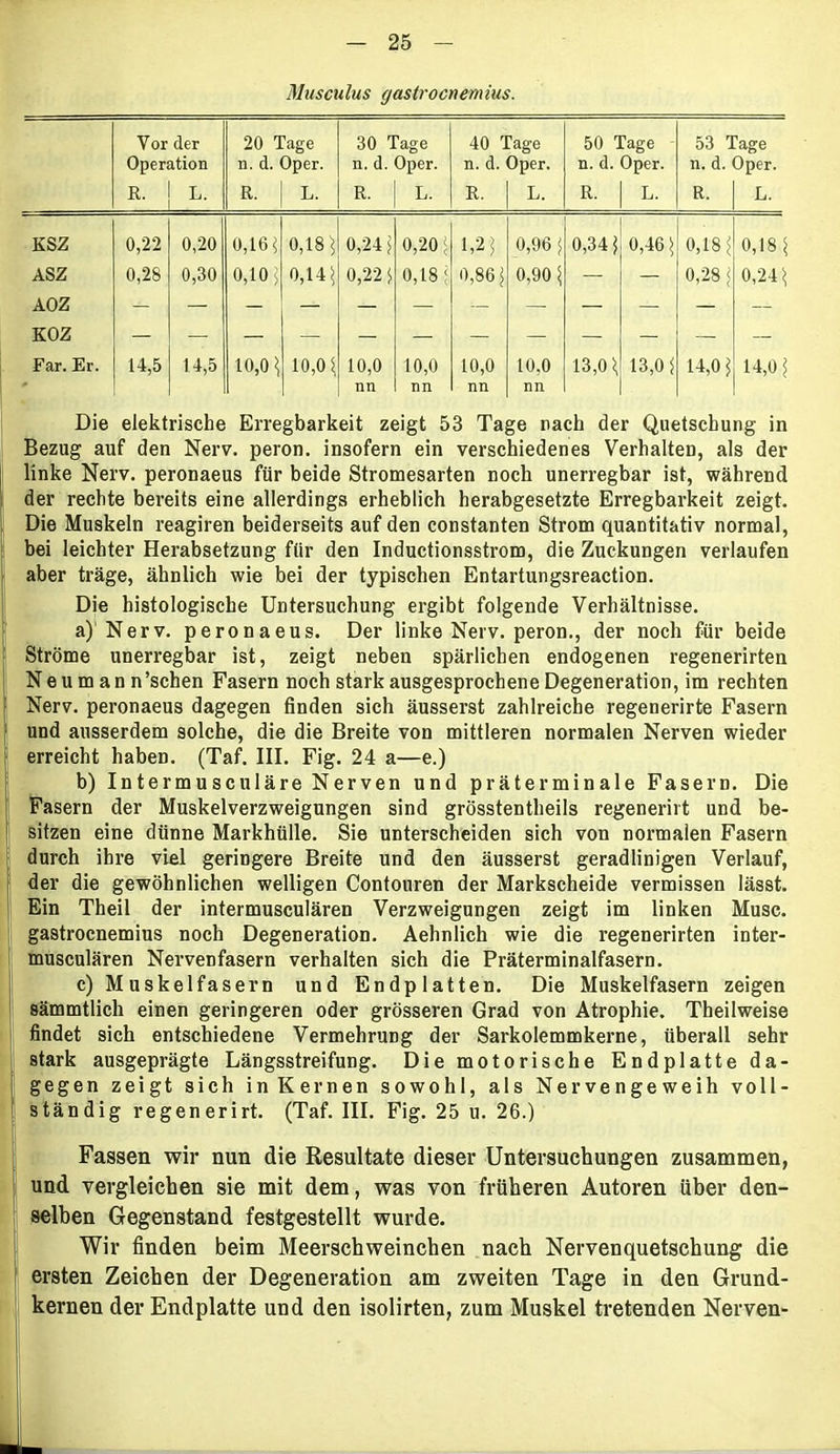 Musculus gastrocnemius. Vor der Operation 20 Tage n. d. Oper. 30 Tage n. d. Oper. 40 Tage n. d. Oper. 50 Tage n. d. Oper. 53 Tage n. d. Oper. R. L. R. L. R. L. R. L. R. L. R. L. KSZ 0,22 0,20 0,16 ) 0,18) 0,24) 0,20) 1,2) 0,96 ) 0,34) 0,46) 0,18) 0,18) ASZ AOZ KOZ 0,28 0,30 0,10) 0,14) 0,22) 0,18; 0,86) 0,90 ) — — 0,28 ) 0,24) — Far. Er. 14,5 14,5 10,0 \ 10,0) 10,0 10,0 10,0 10,0 13,0) 13,0) 14,0) 14,0) nn nn nn nn Die elektrische Erregbarkeit zeigt 53 Tage rach der Quetschung in Bezug auf den Nerv, peron. insofern ein verschiedenes Verhalten, als der linke Nerv, peronaeus für beide Stromesarten noch unerregbar ist, während der rechte bereits eine allerdings erheblich herabgesetzte Erregbarkeit zeigt. Die Muskeln reagiren beiderseits auf den constanten Strom quantitativ normal, bei leichter Herabsetzung für den Inductionsstrom, die Zuckungen verlaufen aber träge, ähnlich wie bei der typischen Entartungsreaction. Die histologische Untersuchung ergibt folgende Verhältnisse. a) Nerv, peronaeus. Der linke Nerv, peron., der noch für beide Ströme unerregbar ist, zeigt neben spärlichen endogenen regenerirten N e u m a n n 'sehen Fasern noch stark ausgesprochene Degeneration, im rechten Nerv, peronaeus dagegen finden sich äusserst zahlreiche regenerirte Fasern und ausserdem solche, die die Breite von mittleren normalen Nerven wieder erreicht haben. (Taf. III. Fig. 24 a—e.) b) Intermu sculäre Nerven und präterminale Fasern. Die Fasern der Muskelverzweigungen sind grösstentheils regenerirt und be- sitzen eine dünne Markhülle. Sie unterscheiden sich von normalen Fasern durch ihre viel geringere Breite und den äusserst geradlinigen Verlauf, der die gewöhnlichen welligen Contouren der Markscheide vermissen lässt. Ein Theil der intermusculären Verzweigungen zeigt im linken Muse, gastrocnemius noch Degeneration. Aehnlich wie die regenerirten inter- musculären Nervenfasern verhalten sich die Präterminalfasern. c) Muskelfasern und Endplatten. Die Muskelfasern zeigen sämmtlich einen geringeren oder grösseren Grad von Atrophie. Theilweise I findet sich entschiedene Vermehrung der Sarkolemmkerne, überall sehr stark ausgeprägte Längsstreifung. Die motorische Endplatte da- gegen zeigt sich in Kernen sowohl, als Nervengeweih voll- ständig regenerirt. (Taf. III. Fig. 25 u. 26.) Fassen wir nun die Resultate dieser Untersuchungen zusammen, und vergleichen sie mit dem, was von früheren Autoren über den- selben Gegenstand festgestellt wurde. Wir finden beim Meerschweinchen nach Nervenquetschung die ersten Zeichen der Degeneration am zweiten Tage in den Grund- kernen der Endplatte und den isolirten, zum Muskel tretenden Nerven-