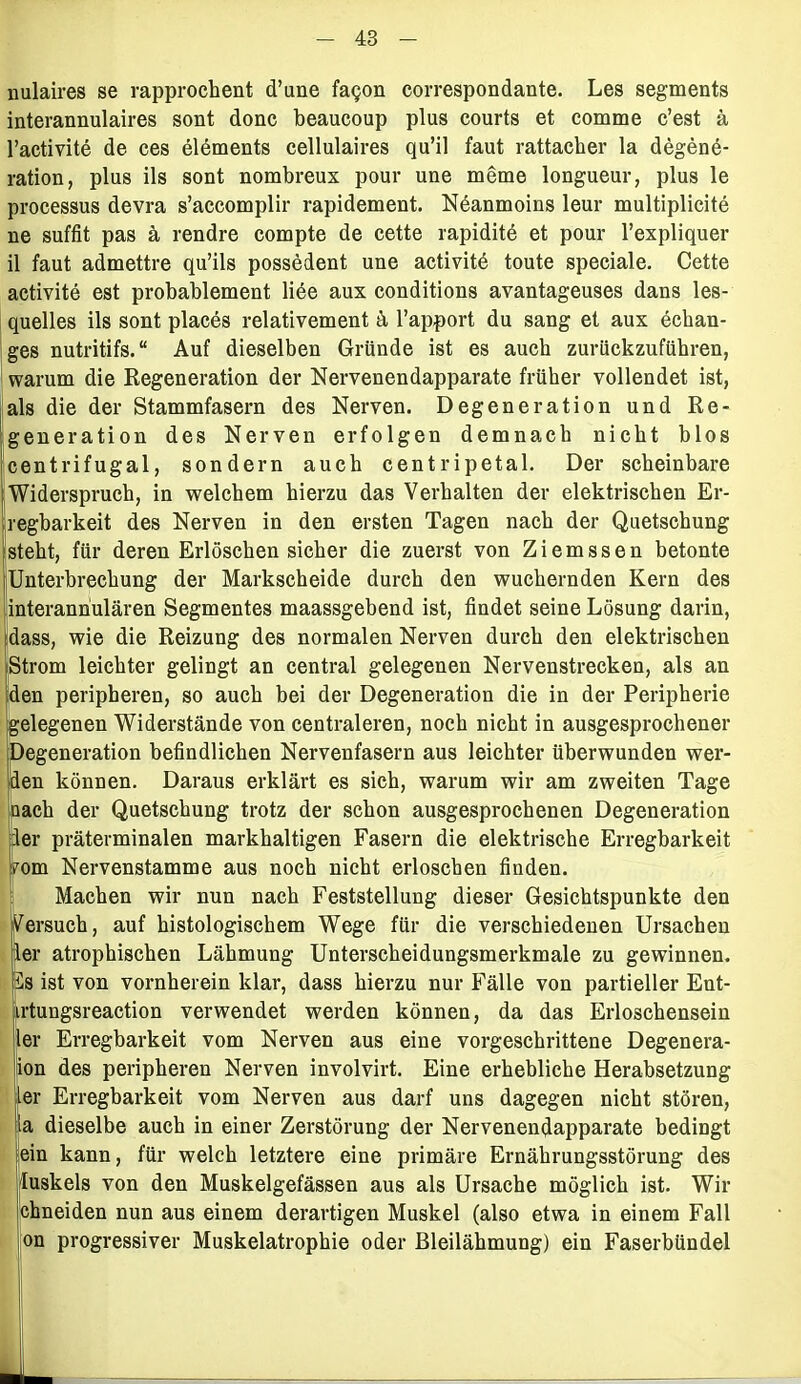 nulaires se rapproch ent d’une faqon correspondante. Les Segments interannulaires sont donc beaucoup plus courts et eomme c’est ä l’activite de ces elements cellulaires qu’il faut rattacher la degene- ration, plus ils sont nombreux pour une meme longueur, plus le processus devra s’accomplir rapidement. Neanmoins leur multiplicite ne suffit pas ä rendre compte de cette rapidite et pour l’expliquer il faut admettre qu’ils possedent une activitö toute speciale. Cette aetivite est probablement liöe aux conditions avantageuses dans les- quelles ils sont places relativement ä l’apport du sang et aux echan- ges nutritifs.“ Auf dieselben Gründe ist es auch zurückzuführen, warum die Regeneration der Nervenendapparate früher vollendet ist, als die der Stammfasern des Nerven. Degeneration und Re- generation des Nerven erfolgen demnach nicht blos centrifugal, sondern auch centripetal. Der scheinbare Widerspruch, in welchem hierzu das Verhalten der elektrischen Er- regbarkeit des Nerven in den ersten Tagen nach der Quetschung steht, für deren Erlöschen sicher die zuerst von Ziemssen betonte Unterbrechung der Markscheide durch den wuchernden Kern des interannulären Segmentes maassgebend ist, findet seine Lösung darin, [dass, wie die Reizung des normalen Nerven durch den elektrischen Strom leichter gelingt an central gelegenen Nervenstrecken, als an den peripheren, so auch bei der Degeneration die in der Peripherie gelegenen Widerstände von centraleren, noch nicht in ausgesprochener Degeneration befindlichen Nervenfasern aus leichter überwunden wer- den können. Daraus erklärt es sich, warum wir am zweiten Tage nach der Quetschung trotz der schon ausgesprochenen Degeneration :1er präterminalen markhaltigen Fasern die elektrische Erregbarkeit ?om Nervenstamme aus noch nicht erloschen finden. Machen wir nun nach Feststellung dieser Gesichtspunkte den ersuch, auf histologischem Wege für die verschiedenen Ursachen er atrophischen Lähmung Unterscheidungsmerkmale zu gewinnen. Es ist von vornherein klar, dass hierzu nur Fälle von partieller Ent- irtungsreaction verwendet werden können, da das Erloschensein ler Erregbarkeit vom Nerven aus eine vorgeschrittene Degenera- ion des peripheren Nerven involvirt. Eine erhebliche Herabsetzung er Erregbarkeit vom Nerven aus darf uns dagegen nicht stören, a dieselbe auch in einer Zerstörung der Nervenendapparate bedingt ein kann, für welch letztere eine primäre Ernährungsstörung des Iuskels von den Muskelgefässen aus als Ursache möglich ist. Wir chneiden nun aus einem derartigen Muskel (also etwa in einem Fall on progressiver Muskelatrophie oder Bleilähmung) ein Faserbündel