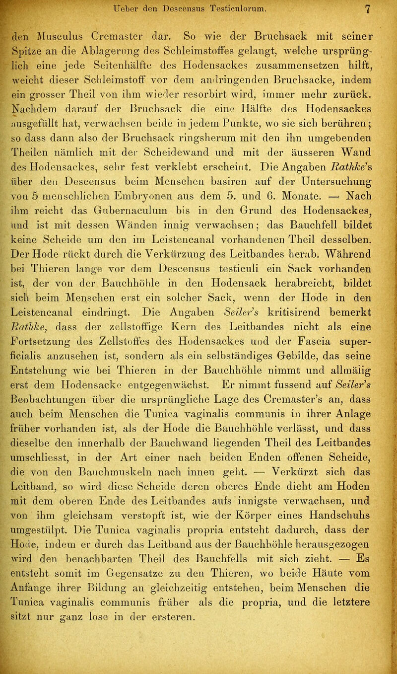 den Musculus Cremaster dar. So wie der Bruchsack mit seiner Spitze an die Ablagerung des Schleimstoffes gelangt, welche ursprüng- lich eine jede Seitenhälfte des Hodensackes zusammensetzen hilft, weicht dieser Schleimstoff vor dem andringenden Bruchsacke, indem ein grosser Theil von ihm wieder resorbirt wird, immer mehr zurück. Nachdem darauf der Bruchsack die eine Hälfte des Hodensackes ausgefüllt hat, verwachsen beide in jedem Punkte, wo sie sich berühren; so dass dann also der Bruchsack ringsherum mit den ihn umgebenden Theilen nämlich mit der Scheidewand und mit der äusseren Wand des Hodensackes, sehr fest verklebt erscheint. Die Angaben Rathke’s über den Deseensus beim Menschen basiren auf der Untersuchung von 5 menschlichen Embryonen aus dem 5. und 6. Monate. — Nach ihm reicht das Gubernaculum bis in den Grund des Hodensackes, und ist mit dessen Wänden innig verwachsen; das Bauchfell bildet keine Scheide um den im Leistencanal vorhandenen Theil desselben. Der Hode rückt durch die Verkürzung des Leitbandes herab. Während bei Thieren lange vor dem Deseensus testiculi ein Sack vorhanden ist, der von der Bauchhöhle in den Plodensack herabreicht, bildet sich beim Menschen erst ein solcher Sack, wenn der Hode in den Leistencanal eindringt. Die Angaben Seiler’s kritisirend bemerkt Ratlike, dass der zcllstoffige Kern des Leitbandes nicht als eine Fortsetzung des Zellstoffes des Hodensackes und der Faseia super- ficialis anzusehen ist, sondern als ein selbständiges Gebilde, das seine Entstehung wie bei Thieren in der Bauchhöhle nimmt und allmäiig ei’st dem Hodensacke entgegenwächst. Er nimmt fussend auf Seiler’s Beobachtungen über die ursprüngliche Lage des Cremaster’s an, dass auch beim Menschen die Tunica vaginalis communis in ihrer Anlage früher vorhanden ist, als der Hode die Bauchhöhle verlässt, und dass dieselbe den innerhalb der Bauchwand liegenden Theil des Leitbandes umschliesst, in der Art einer nach beiden Enden offenen Scheide, die von den Bauchmuskeln nach innen geht. — Verkürzt sich das Leitband, so wird diese Scheide deren oberes Ende dicht am Hoden mit dem oberen Ende des Leitbandes aufs innigste verwachsen, und von ihm gleichsam verstopft ist, wie der Körper eines Handschuhs umgestülpt. Die Tunica vaginalis propria entsteht dadurch, dass der Plode, indem er durch das Leitband aus der Bauchhöhle herausgezogen wird den benachbarten Theil des Bauchfells mit sich zieht. — Es entsteht somit im Gegensätze zu den Thieren, wo beide Häute vom Anfänge ihrer Bildung an gleichzeitig entstehen, beim Menschen die Tunica vaginalis communis früher als die propria, und die letztere sitzt nur ganz lose in der ersteren.