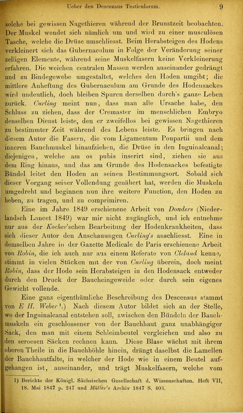 solche bei gewissen Nagethieren während der Brunstzeit beobachten. Der Muskel wendet sich nämlich um und wird zu einer musculösen Tasche, welche die Drüse umscldiesst. Beim Herabsteigen des Hodens verkleinert sich das Gubernaculum in Folge der Veränderung seiner zelligen Elemente, während seine Muskelfasern keine Verkleinerung erfahren. Die weichen centralen Massen werden auseinander gedrängt und zu Bindegewebe umgestaltet, welches den Hoden umgibt; die mittlere Anheftung des Gubernaculum am Grunde des Hodensackes wird undeutlich, doch bleiben Spuren derselben durch’s ganze Leben zurück. Curling meint nun, dass man alle Ursache habe, den Schluss zu ziehen, dass der Cremaster im menschlichen Embryo denselben Dienst leiste, den er zweifellos bei gewissen Nagethieren zu bestimmter Zeit während des Lebens leiste. Es bringen nach diesem Autor die Fasern, die vom Ligamentum Poupartii und dem inneren Bauchmuskel hinaufziehen, die Drüse in den Inguinalcanal; diejenigen, welche am os pubis inserirt sind, ziehen sie aus dem Ring hinaus, und das am Grunde des Hodensackes befestigte Bündel leitet den Hoden an seinen Bestimmungsort. Sobald sich dieser Vorgang seiner Vollendung genähert hat, werden die Muskeln umgedreht und beginnen nun ihre weitere Function, den Hoden zu heben, zu tragen, und zu comprimiren. Eine im Jahre 1849 erschienene Arbeit von Donders (Nieder- landsch Lancet 1849) war mir nicht zugänglich, und ich entnehme nur aus der Kocher sehen Bearbeitung der Hodenkrankheiten, dass i sich dieser Autor den Anschauungen Curling’s anschliesst. Eine in j demselben Jahre in der Gazette Medicale de Paris erschienene Arbeit von Robin, die ich auch nur aus einem Referate von Claland kenne, i stimmt in vielen Stücken mit der von Curling überein, doch meint Rohin, dass der Kode sein Herabsteigen in den Hodensack entweder durch den Druck der Baucheingeweide oder durch sein eigenes i Gewicht vollende. Eine ganz eigenthümliche Beschreibung des Descensus stammt j von E II. Weber h) Nach diesem Autor bildet sich an der Stelle, wo der Inguinalcanal entstehen soll, zwischen den Bündeln der Bauch- muskeln ein geschlossener von der Bauchhaut ganz unabhängiger jSack, den man mit einem Schleimbeutel vergleichen und also zu jden seroesen Säcken rechnen kann. Diese Blase wächst mit ihrem 1 oberen Theile in die Bauchhöhle hinein, drängt daselbst die Lamellen der Bauchhautfalte, in welcher der Hode wie in einem Beutel auf- gehangen ist, auseinander, und trägt Muskelfasern, welche vom 1) Berichte der Königl. Sächsischen Gesellschaft d. Wissenschaften. Heft VII, 18. Mai 1847 p. 247 und Müller's Archiv 1847 S. 403.