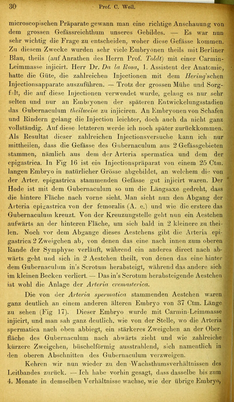 microscopischen Präparate gewann man eine richtige Anschauung von dem grossen Gefässreichthum unseres Gebildes. — Es war nun sehr wichtig die Frage zu entscheiden, woher diese Gefässe kommen. Zu diesem Zwecke wurden sehr viele Embryonen theils mit Berliner Blau, theils (auf Anrathen des Herrn Prof. Tolclt) mit einer Carmin- Leimmasse injicirt. Herr Dr. Da la Rosa, 1. Assistent der Anatomie, • hatte die Güte, die zahlreichen Injectionen mit dem Hering’schen Injectionsapparate auszufüliren. — Trotz der grossen Mühe und Sorg- f dt, die auf diese Injectionen verwendet wurde, gelang es nur sehr selten und nur an Embryonen der späteren Entwickelungsstadien das Gubernaculum tlieilweise zu injiciren. An Embryonen von Schafen und Rindern gelang die Injection leichter, doch auch da nicht ganz vollständig. Auf diese letzteren werde ich noch später zurückkommen. Als Resultat dieser zahlreichen Injectionsversuche kann ich nur mittheiien, dass die Gefässe des Gubernaculum aus 2 Gefässgebieten stammen, nämlich aus dem der Arteria spermatica und dem der epigastrica. In Fig 16 ist ein Injectionspräparat von einem 25 Ctm. langen Embryo in natürlicher Grösse abgebildet, an welchem die von der Arter. epigastrica stammenden Gefässe gut injicirt waren. Der * Hode ist mit dem Gubernaculum so um die Längsaxe gedreht, dass die hintere Fläche nach vorne sieht. Man sieht nun den Abgang der Arteria epigastrica von der femoralis (A. e.) und wie die erstere das Gubernaculum kreuzt. Von der Kreuzungstelle gebt nun ein Aestchen aufwärts an der hinteren Fläche, um sich bald in 2 kleinere zu thei- len. Noch vor dem Abgänge dieses Aestchens gibt die Arteria epi- gastrica 2 Zweigehen ab, von denen das eine nach innen zum oberen Rande der Symphyse verläuft, während ein anderes direct nach ab- wärts geht und sich in 2 Aestchen theilt, von denen das eine hinter dem Gubernaculum in’s Scrotum herabsteigt, während das andere sich im kleinen Becken verliert. — Das in’s Scrotum herabsteigende Aestchen ist wohl die Anlage der Arteria cremasterica. Die von der Arteria spermatica stammenden Aestchen waren ganz deutlich an einem anderen älteren Embryo von 37 Ctm. Länge zu sehen (Fig 17). Dieser Embryo wurde mit Carmin-Leimmasse injicirt, und man sah ganz deutlich, wie von der Stelle, wo die Arteria spermatica nach oben abbiegt, ein stärkeres Zweigehen an der Ober- / fläche des Gubernaculum nach abwärts zieht und wie zahlreiche kürzere Zweigehen, büschelförmig ausstrahlend, sich namentlich in den oberen Abschnitten des Gubernaculum verzweigen. Kehren wir nun wieder zu den Wachsthumsverhältnissen des Leitbandes zurück. — Ich habe vorhin gesagt, dass dasselbe bis zum 4. Monate in demselben Verhältnisse wachse, wie der übrige Embryo, . a lM