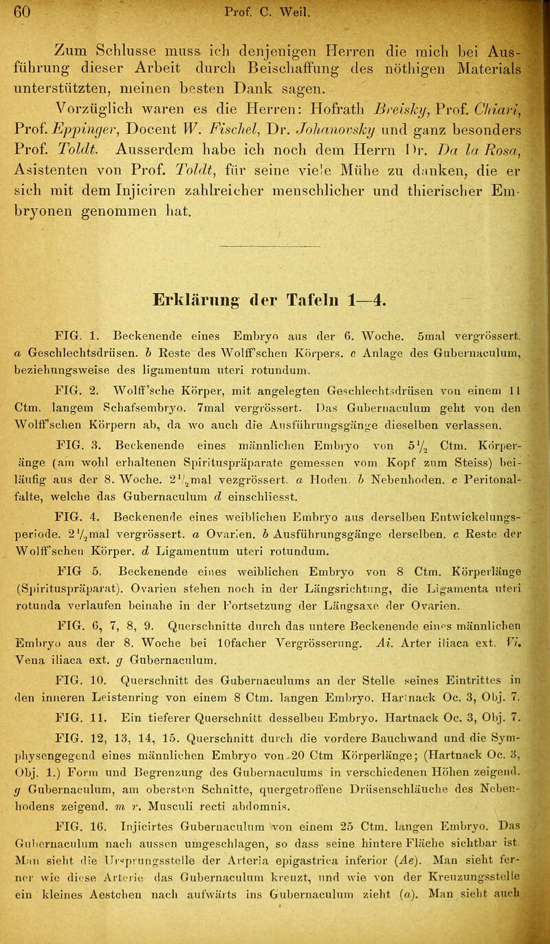 Zum Schlüsse muss ich denjenigen Herren die mich bei Aus- führung dieser Arbeit durch Beischaffung des nöthigen Materials unterstützten, meinen besten Dank sagen. Vorzüglich waren es die Herren: Hofrath Breisky, Prof. Clriäri, Prof. Eppinger, Docent fl7. Fischei, Dr. Johanovsky und ganz besonders Prof. Toldt. Ausserdem habe ich noch dem Herrn Dr. Da la Rosa, Asistenten von Prof. Toldt, für seine viele Mühe zn danken, die er sich mit dem Injiciren zahlreicher menschlicher und thierischer Em- bryonen genommen hat. Erklärung der Tafeln 1—4. FIG. 1. Beckenende eines Embryo aus der G. Woche. 5mal vergrössert. a Geschlechtsdrüsen, b Reste des Wolfifsehen Körpers, e Anlage des Gubernaculum, beziehungsweise des ligamentum Uteri rotundum. FIG. 2. Wolff'sehe Körper, mit angelegten Geschlechtsdrüsen von einem 11 Ctm. langem Schafsembryo. 7mal vergrössert. Das Gubernaculum geht von den Wolff’,sehen Körpern ab, da wo auch die Ausführungsgänge dieselben verlassen. FIG. 3. Beckenende eines männlichen Embryo von ö'/2 Ctm. Körper- änge (am wohl erhaltenen Spirituspräparate gemessen vom Kopf zum Steiss) bei- läufig aus der 8. Woche. 2’A.mal vezgrössert. a Hoden, b Nebenhoden, c Peritonal- falte, welche das Gubernaculum d einschliesst. FIG. 4. Beckenende eines weiblichen Embryo aus derselben Entwickelungs- periode. 2'/Jmal vergrössert. a Ovarien, b Ausführungsgänge derselben, c Reste der Wolffscheu Körper, d Ligamentum Uteri rotundum. FIG 5. Beckenende eines weiblichen Embryo von 8 Ctm. Körperlänge (Spirituspräparat). Ovarien stehen noch in der Längsrichtung, die Ligamenta uteri rotunda verlaufen beinahe in der Fortsetzung der Längsaxe der Ovarien. FIG. G, 7, 8, 9. Querschnitte durch das untere Beckenende eines männlichen Embryo aus der 8. Woche bei lOfacher Vergrösserung. Ai. Arter iliaca ext. 17. Vena iliaca ext. g Gubernaculum. FIG. 10. Querschnitt des Gubernaculums an der Stelle seines Eintrittes in den inneren Leistenring von einem 8 Ctm. langen Embryo. Hartnack Oc. 3, Obj. 7. FIG. 11. Ein tieferer Querschnitt desselben Embryo. Hartnack Oc. 3, Obj. 7. FIG. 12, 13, 14, 15. Querschnitt durch die vordere Bauchwand und die Sym- physongegend eines männlichen Embryo von 20 Ctm Körperlänge; (Hartnack Oc. 3, Obj. 1.) Form und Begrenzung des Gubernaculums in verschiedenen Höhen zeigend. g Gubernaculum, am obersten Schnitte, quergetroffene Drüsenschläuche des Neben- hodens zeigend, m r. Musculi recti abdomnis. FIG. IG. Injicirtes Gubernaculum von einem 25 Ctm. langen Embryo. Das Gubernaculum nach aussen umgeschlagen, so dass seine hintere Fläche sichtbar ist Man sieht die Ur“prungsstelle der Arteria epigastrica inferior (Ae). Man sieht fer- ner wie diese Arterie das Gubernaculum kreuzt, und wie von der Kreuzungsstelle ein kleines Aestcheu nach aufwärts ins Gubernaculum zieht (a). Man sieht auch