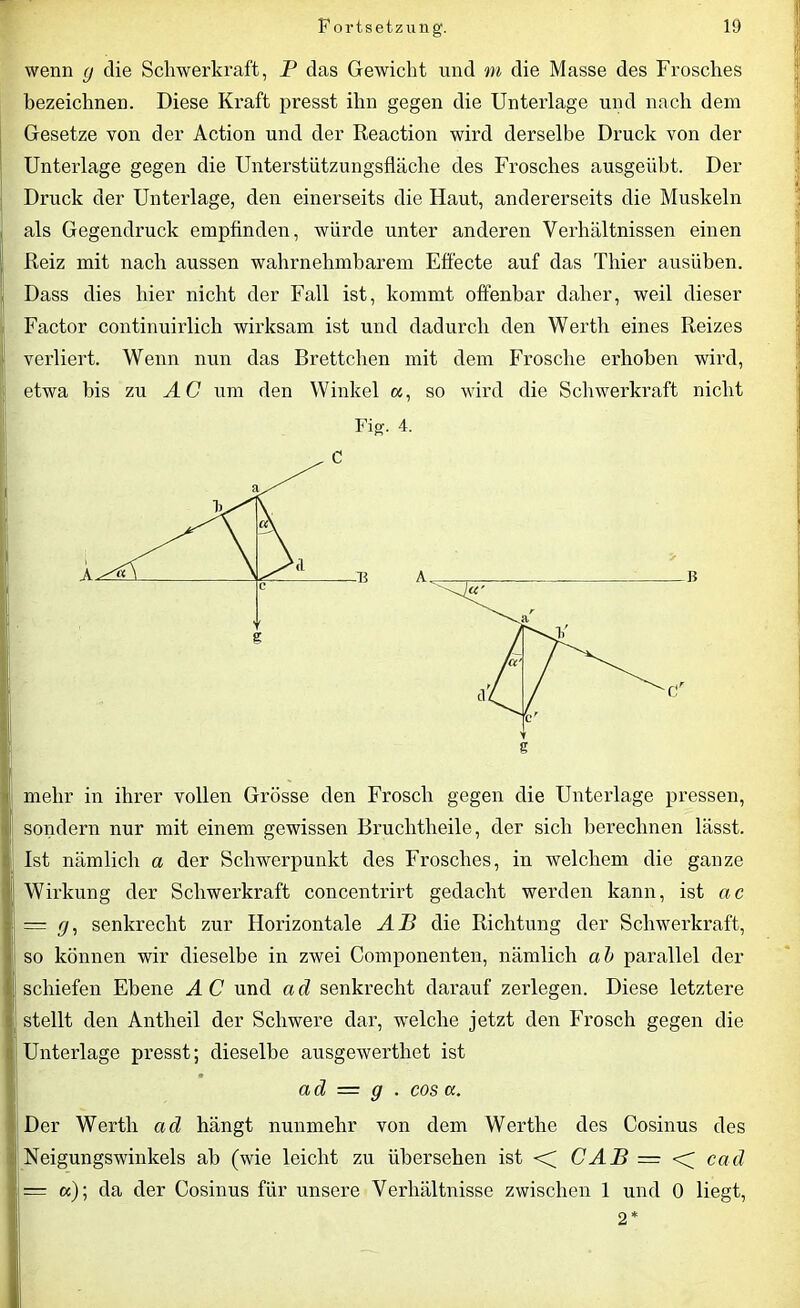 wenn g clie Schwerkraft, P das Gewicht und m die Masse des Frosches bezeichnen. Diese Kraft presst ihn gegen die Unterlage und nach dem Gesetze von der Action und der Reaction wird derselbe Druck von der Unterlage gegen die Unterstiitzungsfläche des Frosches ausgeübt. Der Druck der Unterlage, den einerseits die Haut, andererseits die Muskeln als Gegendruck empfinden, würde unter anderen Verhältnissen einen Reiz mit nach aussen wahrnehmbarem Effecte auf das Thier ausüben. Dass dies hier nicht der Fall ist, kommt offenbar daher, weil dieser Factor continuirlich wirksam ist und dadurch den Werth eines Reizes verliert. Wenn nun das Brettchen mit dem Frosche erhoben wird, etwa bis zu AC um den Winkel a, so wird die Schwerkraft nicht Fig. 4. g mehr in ihrer vollen Grösse den Frosch gegen die Unterlage pressen, sondern nur mit einem gewissen Bruclitheile, der sich berechnen lässt. Ist nämlich a der Schwerpunkt des Frosches, in welchem die ganze Wirkung der Schwerkraft concentrirt gedacht werden kann, ist ac — g, senkrecht zur Horizontale AB die Richtung der Schwerkraft, so können wir dieselbe in zwei Componenten, nämlich ab parallel der schiefen Ebene A C und a d senkrecht darauf zerlegen. Diese letztere stellt den Antheil der Schwere dar, welche jetzt den Frosch gegen die Unterlage presst; dieselbe ausgewerthet ist ad = g . cos a. Der Werth ad hängt nunmehr von dem Werthe des Cosinus des Neigungswinkels ab (wie leicht zu übersehen ist <; CAB = cad — a); da der Cosinus für unsere Verhältnisse zwischen 1 und 0 liegt, 2*