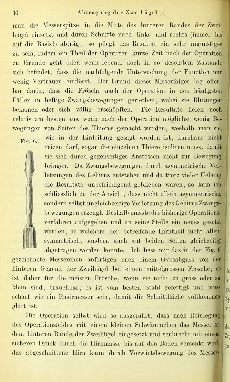 man die Messerspitze in die Mitte des hinteren Randes der Zwei- hügel einsetzt und durch Schnitte nach links und rechts (immer bis auf die Basis!) abträgt, so pflegt das Resultat ein sehr ungünstiges zu sein, indem ein Theil der Operirten kurze Zeit nach der Operation zu Grunde geht oder, wenn lebend, doch in so desolatem Zustande I sich befindet, dass die nachfolgende Untersuchung der Function nur wenig Vertrauen einflösst. Der Grund dieses Misserfolges lag offen- bar darin, dass die Frösche nach der Operation in den häufigsten Fällen in heftige Zwangsbewegungen geriethen, wobei sie Blutungen bekamen oder sich völlig erschöpften. Die Resultate fielen noch relativ am besten aus, wenn nach der Operation möglichst wenig Be- wegungen von Seiten des Thieres gemacht wurden, weshalb man sie, 6 wie in der Einleitung gesagt worden ist, durchaus nicht reizen darf, sogar die einzelnen Thiere isoliren muss, damit sie sich durch gegenseitiges Anstossen nicht zur Bewegung bringen. Da Zwangsbewegungen durch asymmetrische Ver- letzungen des Gehirns entstehen und da trotz vieler Uebung die Resultate unbefriedigend geblieben waren, so kam ich schliesslich zu der Ansicht, dass nicht allein asymmetrische, sondern selbst ungleichzeitige Verletzung des Gehirns Zwangs- bewegungen erzeugt. Deshalb musste das bisherige Operations- verfahren aufgegeben und an seine Stelle ein neues gesetzt werden, in welchem der betreffende Hirntheil nicht allein symmetrisch, sondern auch auf beiden Seiten gleichzeitig abgetragen werden konnte. Ich liess mir das in der Fig. 6 gezeichnete Messerchen anfertigen nach einem Gypsabguss von der hinteren Gegend der Zweihügel bei einem mittelgrossen Frosche; es L. ist daher für die meisten Frösche, wenn sie nicht zu gross oder zu y klein sind, brauchbar; es ist vom besten Stahl gefertigt und muss „;J scharf wie ein Rasirmesser sein, damit die Schnittfläche vollkommen ; ^ glatt ist. ■ L Die Operation seihst wird so ausgeführt, dass nach Reinlegung des Operationsfeldes mit einem kleinen Schwämmchen das Messer an ^ dem hinteren Rande der Zweihügel eingesetzt und senkrecht mit einem ^ sicheren Druck durch die Hirnmasse bis auf den Boden versenkt wird; , , das abgeschnittene Hirn kann durch Vorwärtsbewegung des Messers