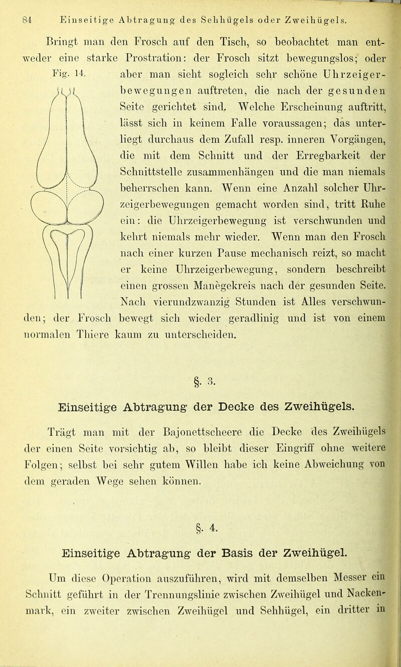 Bringt man clen Frosch auf den Tisch, so beobachtet man ent- weder eine starke Prostration: der Frosch sitzt bewegungslos; oder Fig. 14. aber man sieht sogleich sehr schöne Uhrzeiger- bewegungen auftreten, die nach der gesunden Seite gerichtet sind. Welche Erscheinung auftritt, lässt sich in keinem Falle Voraussagen; das unter- liegt durchaus dem Zufall resp. inneren Vorgängen, die mit dem Schnitt und der Erregbarkeit der Schnittstelle Zusammenhängen und die man niemals beherrschen kann. Wenn eine Anzahl solcher Uhr- zeigerbewegungen gemacht worden sind, tritt Ruhe ein: die ührzeigerbewegung ist verschwunden und kehrt niemals mehr wieder. Wenn man den Frosch nach einer kurzen Pause mechanisch reizt, so macht er keine Uhrzeigerbewegung, sondern beschreibt einen grossen Manegekreis nach der gesunden Seite. Nach vierundzwanzig Stunden ist Alles verschwun- den; der Frosch bewegt sich wieder geradlinig und ist von einem normalen Thiere kaum zu unterscheiden. §. 3. Einseitige Abtragung der Decke des Zweihügels. Trägt man mit der Bajonettscheere die Decke des Zweihügels der einen Seite vorsichtig ab, so bleibt dieser Eingriff ohne weitere Folgen; seihst bei sehr gutem Willen habe ich keine Abweichung von dem geraden Wege sehen können. §. 4. Einseitige Abtragung der Basis der Zweihügel. Um diese Operation auszuführen, wird mit demselben Messer ein Schnitt geführt in der Trennungslinie zwischen Zweihügel und Nacken- mark, ein zweiter zwischen Zweihügel und Sehhiigel, ein dritter in