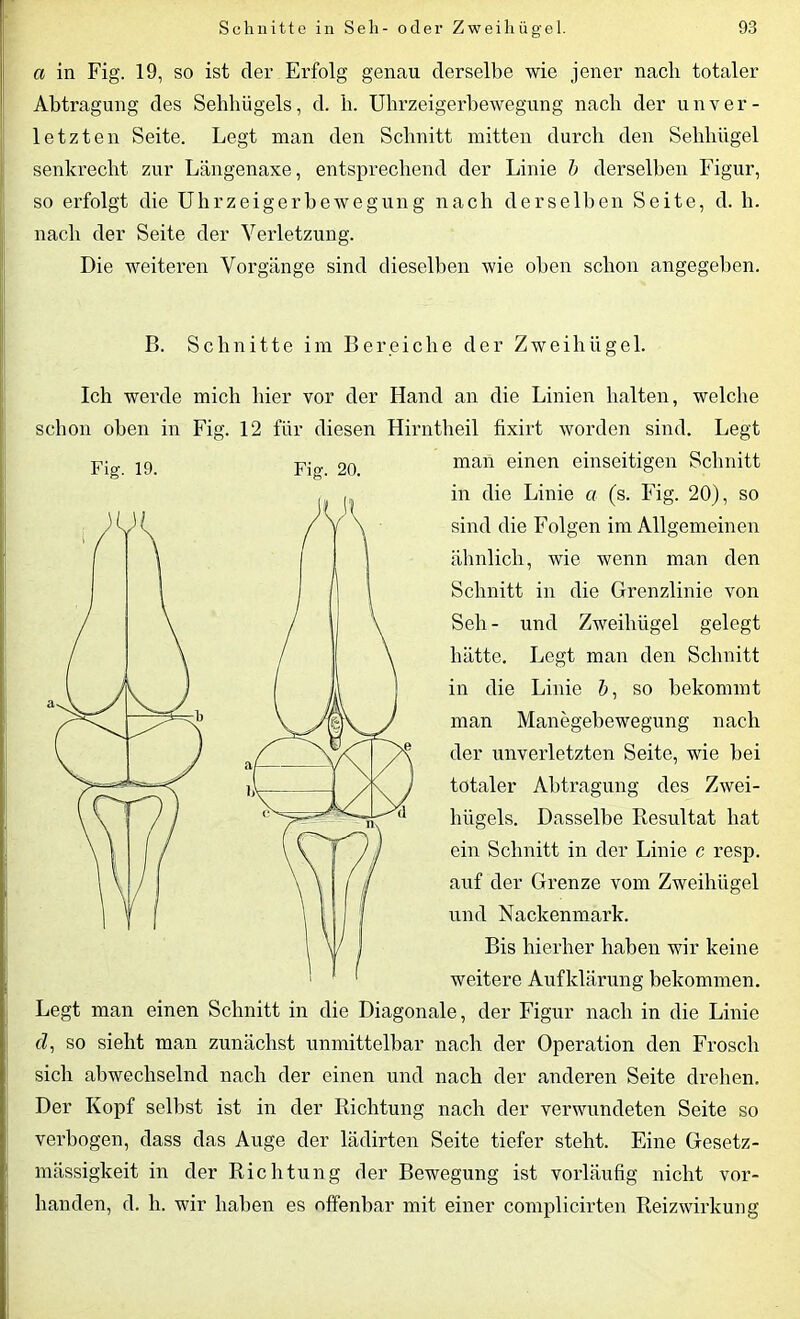 a in Fig. 19, so ist der Erfolg genau derselbe wie jener nach totaler Abtragung des Sehhügels, d. li. Uhrzeigerbewegung nach der unver- letzten Seite. Legt man den Schnitt mitten durch den Sehhügel senkrecht zur Längenaxe, entsprechend der Linie b derselben Figur, so erfolgt die Uhrzeigerbewegung nach derselben Seite, d. li. nach der Seite der Verletzung. Die weiteren Vorgänge sind dieselben wie oben schon angegeben. B. Schnitte im Bereiche der Zweihügel. Ich werde mich hier vor der Hand an die Linien halten, welche schon oben in Fig. 12 für diesen Hirntheil fixirt worden sind. Legt man einen einseitigen Schnitt in die Linie a (s. Fig. 20), so sind die Folgen im Allgemeinen ähnlich, wie wenn man den Schnitt in die Grenzlinie von Seh - und Zweihügel gelegt hätte. Legt man den Schnitt in die Linie Z>, so bekommt man Manegebewegung nach der unverletzten Seite, wie bei totaler Abtragung des Zwei- lhigels. Dasselbe Resultat hat ein Schnitt in der Linie c resp. auf der Grenze vom Zweihügel und Nackenmark. Bis hierher haben wir keine weitere Aufklärung bekommen. Legt man einen Schnitt in die Diagonale, der Figur nach in die Linie d, so sieht man zunächst unmittelbar nach der Operation den Frosch sich abwechselnd nach der einen und nach der anderen Seite drehen. Der Kopf selbst ist in der Richtung nach der verwundeten Seite so verbogen, dass das Auge der lädirten Seite tiefer steht. Eine Gesetz- mässigkeit in der Richtung der Bewegung ist vorläufig nicht vor- handen, d. h. wir haben es offenbar mit einer complicirten Reizwirkung Fig. 19. Fig. 20.