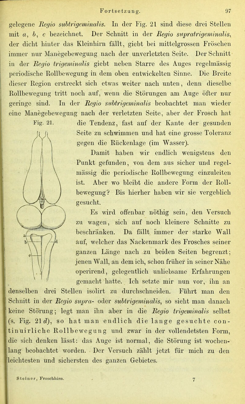 gelegene Regio subtrigeminalis. In der Fig. 21 sind diese drei Stellen mit a, ö, c bezeichnet. Der Schnitt in der Regio supratrigeminaliSi der dicht hinter das Kleinhirn fällt, gieht bei mittelgrossen Fröschen immer nur Manegebewegung nach der unverletzten Seite. Der Schnitt in der Regio trigeminalis gieht neben Starre des Auges regelmässig periodische Rollbewegung in dem oben entwickelten Sinne. Die Breite dieser Region erstreckt sich etwas weiter nach unten, denn dieselbe Rollbewegung tritt noch auf, wenn die Störungen am Auge öfter nur geringe sind. In der Regio subtrigeminalis beobachtet man wieder eine Manegebewegung nach der verletzten Seite, aber der Frosch hat die Tendenz, fast auf der Kante der gesunden Seite zu schwimmen und hat eine grosse Toleranz gegen die Rückenlage (im Wasser). Damit haben wir endlich wenigstens den Punkt gefunden, von dem aus sicher und regel- mässig die periodische Rollbewegung einzuleiten ist. Aber wo bleibt die andere Form der Roll- bewegung? Bis hierher haben wir sie vergeblich gesucht. Es wird offenbar nötliig sein, den Versuch zu wagen, sich auf noch kleinere Schnitte zu beschränken. Da fällt immer der starke Wall auf, welcher das Nackenmark des Frosches seiner ganzen Länge nach zu beiden Seiten begrenzt; jenen Wall, an dem ich, schon früher in seiner Nähe operirend, gelegentlich unliebsame Erfahrungen gemacht hatte. Ich setzte mir nun vor, ihn an denselben drei Stellen isolirt zu durchsclineiden. Führt man den Schnitt in der Regio supra- oder subtrigeminalisi so sieht man danach keine Störung; legt man ihn aber in die Regio trigeminalis selbst (s. Fig. 21 d)i so hat man endlich die lange gesuchte con- ti nuirliehe Rollbewegung und zwar in der vollendetsten Form, die sich denken lässt: das Auge ist normal, die Störung ist wochen- lang beobachtet worden. Der Versuch zählt jetzt für mich zu den leichtesten und sichersten des ganzen Gebietes. Fig. 21. Steiner, rrosehhirn.