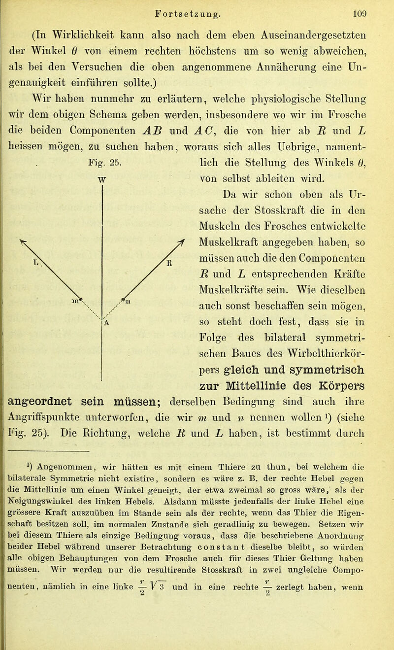 (In Wirklichkeit kann also nach dem eben Auseinandergesetzten der Winkel 6 von einem rechten höchstens um so wenig abweichen, als bei den Versuchen die oben angenommene Annäherung eine Un- genauigkeit einführen sollte.) Wir haben nunmehr zu erläutern, welche physiologische Stellung wir dem obigen Schema geben werden, insbesondere wo wir im Frosche die beiden Componenten AB und A C, die von hier ab R und L heissen mögen, zu suchen haben, woraus sich alles Uebrige, nament- lich die Stellung des Winkels 0, von selbst ableiten wird. Da wir schon oben als Ur- sache der Stosskraft die in den Muskeln des Frosches entwickelte Muskelkraft angegeben haben, so müssen auch die den Componenten R und L entsprechenden Kräfte Muskelkräfte sein. Wie dieselben auch sonst beschaffen sein mögen, so steht doch fest, dass sie in Folge des bilateral symmetri- schen Baues des Wirbelthierkör- pers gleich und symmetrisch zur Mittellinie des Körpers angeordnet sein müssen; derselben Bedingung sind auch ihre Angriffspunkte unterworfen, die wir m und n nennen wollen x) (siehe Fig. 25). Die Richtung, welche R und L haben, ist bestimmt durch b Angenommen, wir hätten es mit einem Thiere zu thun, bei welchem die bilaterale Symmetrie nicht existire, sondern es wäre z. B. der rechte Hebel gegen die Mittellinie um einen Winkel geneigt, der etwa zweimal so gross wäre, als der Neigungswinkel des linken Hebels. Alsdann müsste jedenfalls der linke Hebel eine grössere Kraft auszuüben im Stande sein als der rechte, wenn das Thier die Eigen- schaft besitzen soll, im normalen Zustande sich geradlinig zu bewegen. Setzen wir bei diesem Thiere als einzige Bedingung voraus, dass die beschriebene Anordnung beider Hebel während unserer Betrachtung constant dieselbe bleibt, so würden alle obigen Behauptungen von dem Frosche auch für dieses Thier Geltung haben müssen. Wir werden nur die resultirende Stosskraft in zwei ungleiche Compo- nenteu, nämlich in eine linke — V 3 und in eine rechte — zerlegt haben, wenn Fig. 25, W