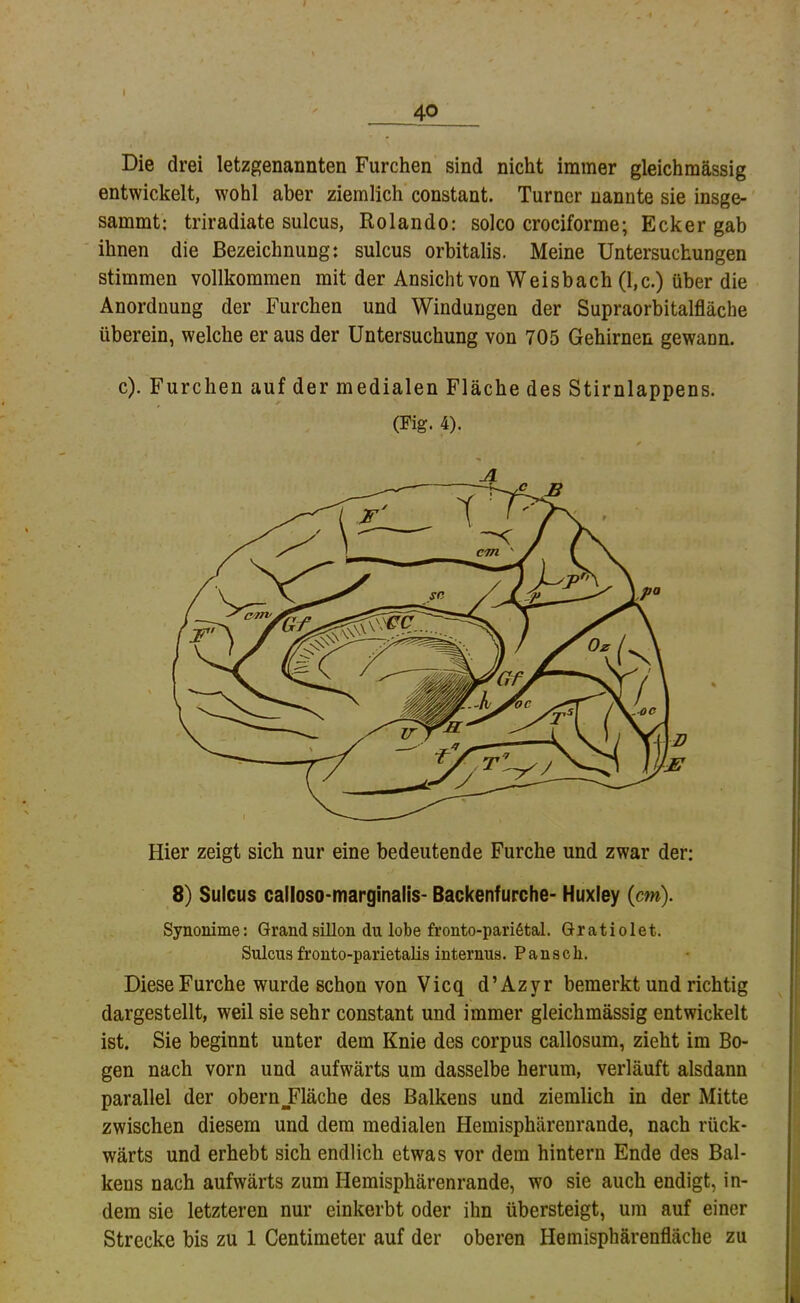 \ ' 40 Die drei letzgenannten Furchen sind nicht immer gleichmässig entwickelt, wohl aber ziemlich constant. Turner nannte sie insge- sammt: triradiate sulcus, Rolando: solco crociforme; Ecker gab ihnen die Bezeichnung: sulcus orbitalis. Meine Untersuchungen stimmen vollkommen mit der Ansicht von Weisbach (l,c.) über die Anordnung der Furchen und Windungen der Supraorbitalfläche überein, welche er aus der Untersuchung von 705 Gehirnen gewann. c). Furchen auf der medialen Fläche des Stirnlappens. (Fig. 4). Hier zeigt sich nur eine bedeutende Furche und zwar der: 8) Sulcus cailoso’marginalis- Backenfurche- Huxley (cm). Synonime: Grandsilion du lobe fronto-parißtal. Gratiolet. Sulcus fr onto-parietalis internus .Pansch. Diese Furche wurde schon von Vicq d’Azyr bemerkt und richtig dargestellt, weil sie sehr constant und immer gleichmässig entwickelt ist. Sie beginnt unter dem Knie des corpus callosum, zieht im Bo- gen nach vorn und aufwärts um dasselbe herum, verläuft alsdann parallel der obernJFläche des Balkens und ziemlich in der Mitte zwischen diesem und dem medialen Hemisphärenrande, nach rück- wärts und erhebt sich endlich etwas vor dem hintern Ende des Bal- kens nach aufwärts zum Hemisphärenrande, wo sie auch endigt, in- dem sie letzteren nur einkerbt oder ihn übersteigt, um auf einer Strecke bis zu 1 Centimeter auf der oberen Hemisphärenfläche zu