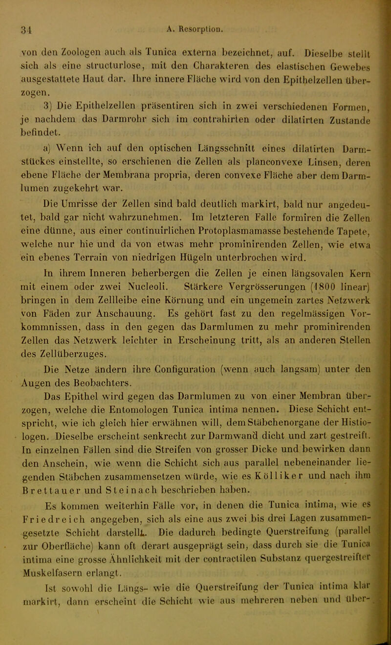 von (Jen Zoologen auch als Tunica externa bezeichnet, auf. Dieselbe stellt sich als eine structuiiose, mit den Charakteren des elastischen Gewebes ausgestattete Haut dar. Ihre innere Fläche wird von den Epithelzellen über- zogen. 3) Die Epithelzellen präsentiren sich in zwei verschiedenen Formen, je nachdem das Darmrohr sich im contrahirten oder dilalirten Zustande befindet. a) Wenn ich auf den optischen Längsschnitt eines dilatirten Darm- stückes einstellte, so erschienen die Zellen als planconvexe Linsen, deren ebene Fläche der Membrana propria, deren convexe Fläche aber dem Darm- lumen zugekehrt war. Die Umrisse der Zellen sind bald deutlich markirt, bald nur angedeu- tet, bald gar nicht wahrzunehmen. Im letzteren Falle formiren die Zellen eine dünne, aus einer continuirlichen Protoplasmamasse bestehende Tapete, welche nur hie und da von etwas mehr prominirenden Zellen, wie etwa ein ebenes Terrain von niedrigen Hügeln unterbrochen wird. In ihrem Inneren beherbergen die Zellen je einen längsovalen Kern mit einem oder zwei Nucleoli. Stärkere Vergrösserungen (ISOO linear) bringen in dem Zellleibe eine Körnung und ein ungemein zartes Netzwerk von Fäden zur Anschauung. Es gehört fast zu den regelmässigen Vor- kommnissen, dass in den gegen das Darmlumen zu mehr prominirenden Zellen das Netzwerk leichter in Erscheinung tritt, als an anderen Stellen des Zellüberzuges. Die Netze ändern ihre Configuration (wenn auch langsam) unter den Augen des Beobachters. Das Epithel wird gegen das Darmlumen zu von einer Membran über- zogen, welche die Entomologen Tunica intima nennen. Diese Schicht ent- spricht, wie ich gleich hier erwähnen will, dem Stäbchenorgane der Histio- logen. Dieselbe erscheint senkrecht zur Darmwand dicht und zart gestreift. In einzelnen Fällen sind die Streifen von grosser Dicke und bewirken dann den Anschein, wie wenn die Schicht sich aus parallel nebeneinander lie- genden Stäbchen zusammensetzen würde, wie es Kölliker und nach ihm Brettauer und Steinach beschrieben haben. Es kommen weiterhin Fälle vor, in denen die Tunica intima, wie es Fried reich angegeben, sich als eine aus zwei bis drei Lagen zusammen- gesetzte Schicht darstellL Die dadurch bedingte Querstreifung (parallel zur Oberfläche) kann oft derart ausgeprägt sein, dass durch sie die Tunica intima eine grosse Ähnlichkeit mit der contractilen Substanz quergestreifter Muskelfasern erlangt. Ist sowohl die Längs- wie die Querstreifung der Tunica intima klar markirt, dann erscheint die Schicht wie aus mehreren neben und über-