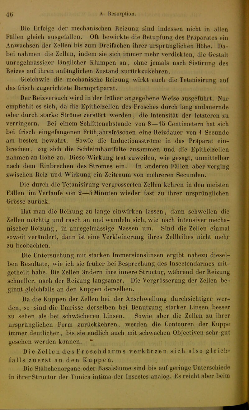 Die Erfolge der mechanischen Reizung sind indessen nicht in allen Füllen gleich ausgefallen. Oft bewirkte die ßetupfung des Präparates ein Anwachsen der Zellen bis zum Dreifachen ihrer ursprünglichen Höhe. Da- bei nahmen die Zellen, indem sie sich immer mehr verdickten, die Gestalt unregelmässiger länglicher Klumpen an , ohne jemals nach Sistirung des Reizes auf ihren anfänglichen Zustand zurückzukehren. Gleichwie die mechanische Reizung wirkt auch die Tetanisirung auf das frisch zugerichtete Darmpräparat, Der Reizversuch wird in der früher angegebene Weise ausgeführt. Nur empfiehlt es sich, da die Epilhelzellen des Frosches durch lang andauernde oder durch starke Ströme zerstört werden, die Intensität der letzteren zu verringern, ßei einem Schlittenabstande von 8—15 Centimetern hat sich bei frisch eingefangenen Frühjahrsfröschen eine Reizdauer von 1 Secunde am besten bewährt. Sowie die Inductionsströme in das Präparat ein- brechen, zog sich die Schleimhautfalte zusammen und die Epithelzellen nahmen an Höhe zu. Diese Wirkung trat zuweilen, wie gesagt, unmittelbar nach dem Einbrechen des Stromes ein. In anderen Fällen aber verging zwischen Reiz und Wirkung ein Zeitraum von mehreren Secunden. Die durch die Tetanisirung vergrösserten Zellen kehren in den meisten Fällen im Verlaufe von 2—5 Minuten wieder fast zu ihrer ursprünglichen Grösse zurück. Hat man die Reizung zu lange einwirken lassen, dann schwellen die Zellen mächtig und rasch an und wandeln sich, wie nach intensiver mecha- nischer Reizung, in unregelmässige Massen um. Sind die Zellen einmal soweit verändert, dann ist eine Verkleinerung ihres Zellleibes nicht mehr zu beobachten. Die Untersuchung mit starken Immersionslinsen ergibt nahezu diesel- ben Resultate, wie ich sie früher bei Besprechung des Insectendarmes mit- getheilt habe. Die Zellen ändern ihre innere Structui;, während der Reizung schneller, nach der Reizung langsamer. Die Vergrösserung der Zellen be- ginnt gleichfalls an den Kuppen derselben. Da die Kuppen der Zellen bei der Anschwellung durchsichtiger wer- den, so sind die Umrisse derselben bei Benutzung starker Linsen besser zu sehen als bei schwächeren Linsen. Sowie aber die Zellen zu ihrer ursprünglichen Form zurückkehren, werden die Contouren der Kuppe immer deutlicher, bis sie endlich auch mit schwachen Objectiven sehr gut gesehen werden können. Die Zellen des Froschdarms verkürzen sich also gleich- falls zuerst an den Kuppen. Die Stäbchenorgane oder Basalsäume sind bis auf geringe Unterschiede in ihrer Structur der Tunica intima der Insectes analog. Es reicht aber beim