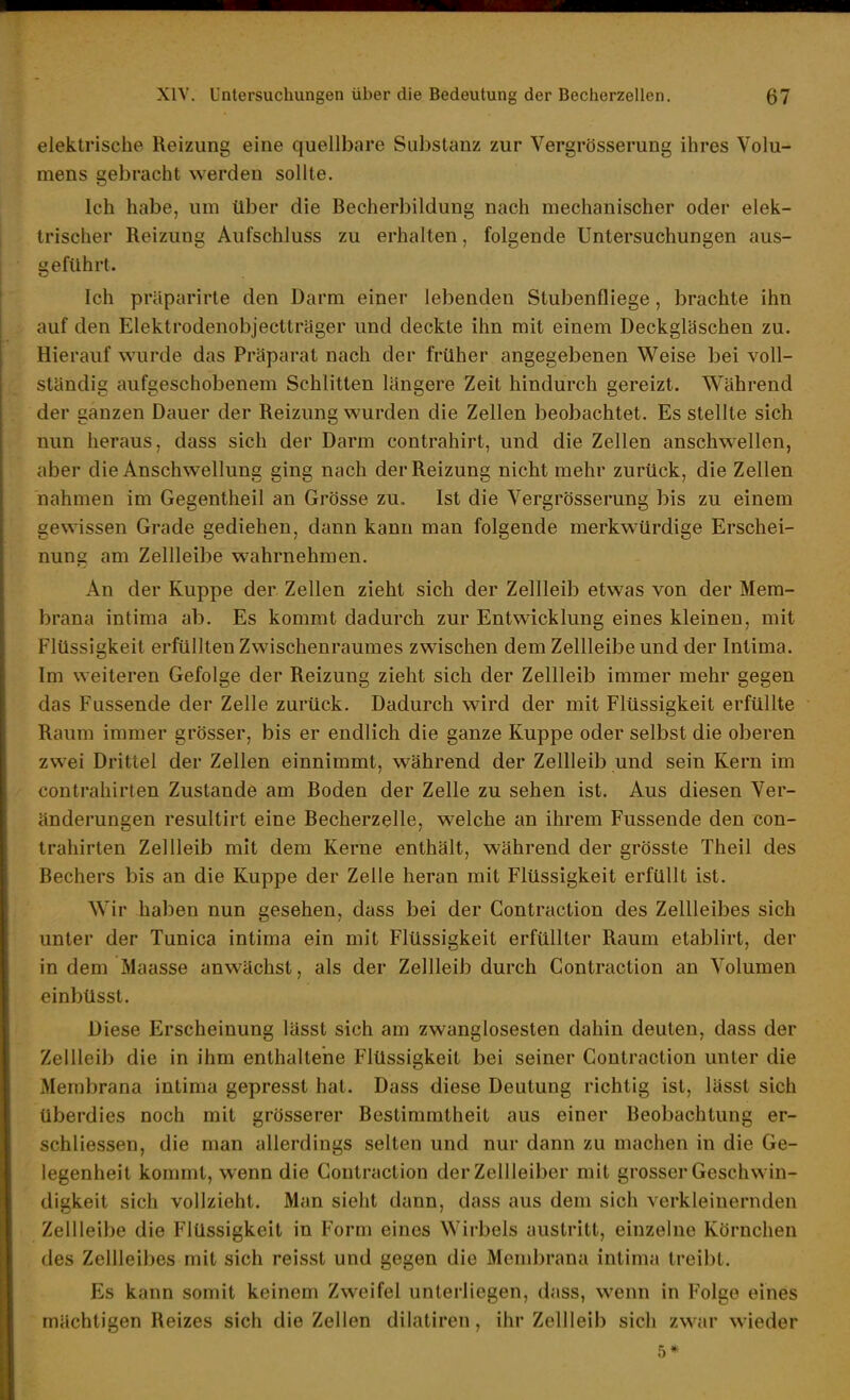 elektrische Reizung eine quellbare Substanz zur Vergrösserung ihres Volu- mens gebracht werden sollte. Ich habe, um über die Becherbildung nach mechanischer oder elek- trischer Reizung Aufschluss zu erhalten, folgende Untersuchungen aus- geführt. Ich präparirte den Darm einer lebenden Stubenfliege, brachte ihn auf den Elektrodenobjectträger und deckte ihn mit einem Deckgläschen zu. Hierauf wurde das Präparat nach der früher angegebenen Weise bei voll- ständig aufgeschobenem Schlitten längere Zeit hindurch gereizt. Während der ganzen Dauer der Reizung wurden die Zellen beobachtet. Es stellte sich nun heraus, dass sich der Darm contrahirt, und die Zellen anschwellen, aber die Anschwellung ging nach der Reizung nicht mehr zurück, die Zellen nahmen im Gegentheil an Grösse zu. Ist die Vergrösserung bis zu einem gewissen Grade gediehen, dann kann man folgende merkwürdige Erschei- nung am Zellleibe wahrnehmen. An der Kuppe der Zellen zieht sich der Zellleib etwas von der Mem- brana intima ab. Es kommt dadurch zur Entwicklung eines kleineu, mit Flüssigkeit erfüllten Zwischenraumes zwischen dem Zellleibe und der Intima. Im weiteren Gefolge der Reizung zieht sich der Zellleib immer mehr gegen das Fussende der Zelle zurück. Dadurch wird der mit Flüssigkeit erfüllte Raum immer grösser, bis er endlich die ganze Kuppe oder selbst die oberen zwei Drittel der Zellen einnimmt, während der Zellleib und sein Kern im contrahirten Zustande am Boden der Zelle zu sehen ist. Aus diesen Ver- änderungen resultirt eine Becherzelle, welche an ihrem Fussende den con- trahirten Zellleib mit dem Kerne enthält, während der grösste Theil des Bechers bis an die Kuppe der Zelle heran mit Flüssigkeit erfüllt ist. Wir haben nun gesehen, dass bei der Contraction des Zellleibes sich unter der Tunica intima ein mit Flüssigkeit erfüllter Raum etablirt, der in dem Maasse anwächst, als der Zellleib durch Contraction an Volumen einbüsst. Diese Erscheinung lässt sich am zwanglosesten dahin deuten, dass der Zeilleib die in ihm enthaltene Flüssigkeit bei seiner Contraction unter die Membrana intima gepresst hat. Dass diese Deutung richtig ist, lässt sich überdies noch mit grösserer Bestimmtheit aus einer Beobachtung er- schliessen, die man allerdings selten und nur dann zu machen in die Ge- legenheit kommt, wenn die Contraction der Zellleiber mit grosser Geschwin- digkeit sich vollzieht. Man sieht dann, dass aus dem sich verkleinernden Zell leibe die Flüssigkeit in Form eines Wirbels austritt, einzelne Körnchen des Zellleibes mit sich reisst und gegen die Membrana intima treibt. Es kann somit keinem Zweifel unterliegen, dass, wenn in Folge eines mächtigen Reizes sich die Zellen dilatiren, ihr Zellleib sich zwar wieder 5*