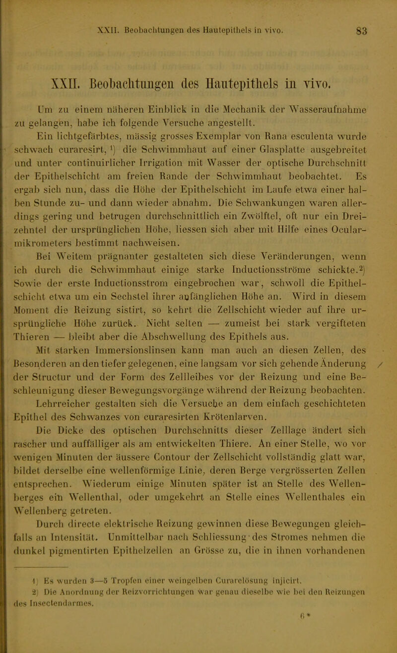XXII. Beobaclitimgeii des Haiitepitliels in yIto. Um zu einem näheren Einblick in die Mechanik der Wasseraufnahme zu gelangi?n, habe ich folgende Versuche angestellt. Ein lichtgefärbtes, mässig grosses Exemplar von Rana esculenta wurde schwach curaresirt, die Schwimmhaut auf einer Glasplatte ausgebreitet und unter continuirlicher Irrigation mit Wasser der optische Durchschnitt der Epithelschicht am freien Rande der Schwimmhaut beobachtet. Es ergab sich nun, dass die Höhe der Epithelschicht im Laufe etwa einer hal- ben Stunde zu- und dann wieder abnahm. Die Schwankungen waren aller- dings gering und betrugen durchschnittlich ein Zwölftel, oft nur ein Drei- zehntel der ursprünglichen Höhe, Hessen sich aber mit Hilfe eines Ocular- mikrometers bestimmt nachweisen. Bei Weitem prägnanter gestalteten sich diese Veränderungen, wenn ich durch die Schwimmhaut einige starke Inductionsströme schickte.2) Sowie der erste Inductionsstrom eingebrochen war, schwoll die Epithel- schicht etwa um ein Sechstel ihrer aijfänglichen Höhe au. Wird in diesem Moment die Reizung sistirt, so kehrt die Zellschicht wieder auf ihre ur- sprüngUche Höhe zurück. Nicht selten — zumeist bei stark vergifteten Thieren — bleibt aber die Abschwellung des Epithels aus. Mit starken Immersionslinsen kann man auch an diesen Zellen, des Besonderen an den tiefer gelegenen, eine langsam vor sich gehende Änderung der Structur und der Form des Zellleibes vor der Reizung und eine Be- schleunigung dieser Bewegungsvorgänge während der Reizung beobachten. Lehrreicher gestalten sich die Versuche an dem einfach geschichteten Epithel des Schwanzes von curaresirten Krötenlarven. Die Dicke des optischen Durchschnitts dieser Zelllage ändert sich rascher und auffälliger als am entwickelten Thiere. An einer Stelle, wo vor wenigen Minuten der äussere Gontour der Zellschicht vollständig glatt war, bildet derselbe eine wellenförmige Linie^ deren Berge vergrösserten Zellen entsprechen. Wiederum einige Minuten später ist an Stelle des Wellen- berges ein Wellenthal, oder umgekehrt an Stelle eines Wellenthales ein Wellenberg getreten. Durch directe elektrische Reizung gewinnen diese Bewegungen gleich- falls an Intensität. Unmittelbar nach Schliessung des Stromes nehmen die dunkel pigmentirten Epithelzellen an Grösse zu, die in ihnen vorhandenen 1) Es Nvurdcn 3—5 Tropfen einer wcingelljcn Curaiclösung injicirl. 2) Die Anordnung der llcizvorricldungon Svar lionaii diosclbe wie bei den Roiziingon des Insectendarmes. 6»