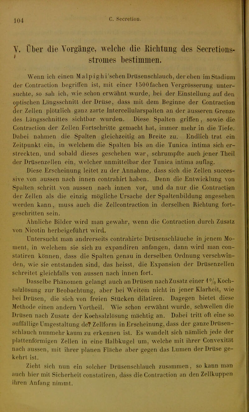 Y. Über die Yorgänge, welche die Kiclitung des SecretioiiB- ' Stromes bestimmen. Wenn ich einen Malpighi'schenDrüsenschlauch, der eben im Stadium der Gontraction begrifl'en ist, mit einer 1500 fachen Vergrösserung unter- suchte, so sah ich, wie schon erwähnt wurde, bei der Einstellung auf den optischen Längsschnitt der Drüse, dass mit dem Beginne der Gontraction der Zellen plötzlich ganz zarte Intercellularspallen an der äusseren Grenze des Längsschnittes sichtbar wurden. Diese Spalten griffen, sowie die Gontraction der Zellen Fortschritte gemacht hat, immer mehr in die Tiefe. Dabei nahmen die Spalten gleichzeitig an Breite zu. Endlich trat ein Zeitpunkt ein, in welchem die Spalten bis an die Tunica intima sich er- streckten, und sobald dieses geschehen war, schrumpfte auch jener Theil der Drüsenzellen ein, welcher unmittelbar der Tunica intima auflag. Diese Erscheinung leitet zu der Annahme, dass sich die Zellen succes- sive von aussen nach innen contrahirt haben. Denn die Entwicklung von Spalten schritt von aussen nach innen vor, und da nur die Gontraction der Zellen als die einzig mögliche Ursache der Spaltenbildung angesehen werden kann, muss auch die Zellcontraction in derselben Richtung fort- geschritten sein. Ähnliche Bilder wird man gewahr, wenn die Gontraction durch Zusatz von Nicotin herbeigeführt wird. Untersucht man andrerseits contrahirlc Drüsenschläuche in jenem Mo- ment, in welchem sie sich zu expandiren anfangen, dann wird man cou- statiren können, dass die Spalten genau in derselben Ordnung verschwin- den, wie sie entstanden sind, das heisst, die Expansion der Drüsenzellen schreitet gleichfalls von aussen nach innen fort. Dasselbe Phänomen gelangt auch an Drüsen nach Zusatz einer 1 % Koch- salzlösung zur Beobachtung, aber bei Weitem nicht in jener Klarheit, wie bei Drüsen, die sich von freien Stücken dilatiren. Dagegen bietet diese Methode einen andern Vortheil. W^ie schon erwähnt wurde, schwellen die Drüsen nach Zusatz der Kochsalzlösung mächtig an. Dabei tritt oft eine so auffällige Umgestaltung deT Zellform in Erscheinung, dass der ganze Drüsen- schlauch nunmehr kaum zu erkennen ist. Es wandelt sieh nämlich jede der plattenförmigen Zellen in eine Halbkugel um, welche mit ihrer Gonvexität nach aussen, mit ihrer planen Fläche aber gegen das Lumen der Drüse ge- kehrt ist. Zieht sich nun ein solcher Drüsenschlauch zusammen, so kann man auch hier mit Sicherheit constatiren, dass die Gontraction an den Zellkuppen ihren Anfang nimmt.