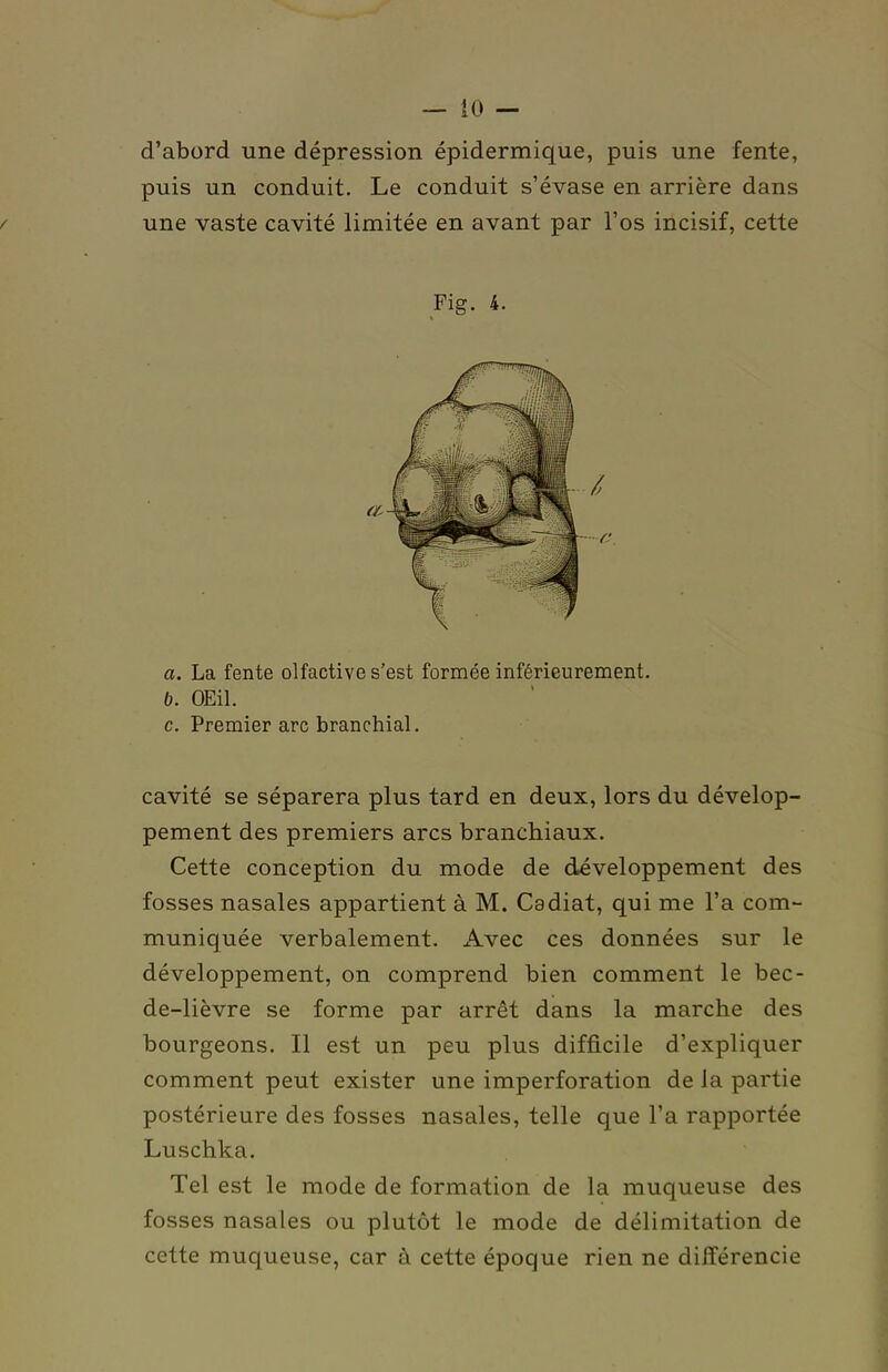 d'abord une dépression épidermique, puis une fente, puis un conduit. Le conduit s'évase en arrière dans / une vaste cavité limitée en avant par l'os incisif, cette Fig. 4. a. La fente olfactive s'est formée inférieurement. b. OEil. c. Premier arc branchial. cavité se séparera plus tard en deux, lors du dévelop- pement des premiers arcs branchiaux. Cette conception du mode de développement des fosses nasales appartient à M. Cadiat, qui me l'a com- muniquée verbalement. Avec ces données sur le développement, on comprend bien comment le bec- de-lièvre se forme par arrêt dans la marche des bourgeons. Il est un peu plus difficile d'expliquer comment peut exister une imperforation de Ja partie postérieure des fosses nasales, telle que l'a rapportée Luschka. Tel est le mode de formation de la muqueuse des fosses nasales ou plutôt le mode de délimitation de cette muqueuse, car à cette époque rien ne différencie