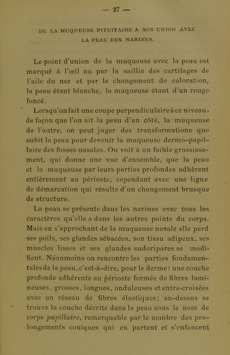 • DE LA MUQUEUSE PITUITAIRE A SON UNION AVIiC LA PEAU DES NARINES. Le point d'union de la muqueuse avec la peau est marqué à l'œil nu par la saillie des cartilages de l'aile du nez et par le changement de coloration, la peau étant blanche, la muqueuse étant d'un rouge foncé. Lorsqu'onfait une coupe perpendiculaireàce niveau, de façon que l'on ait la peau d'un côté, la muqueuse de l'autre, on peut juger des transformations que subit la peau pour devenir la muqueuse dermo-papil- laire des fosses nasales. On voit à un faible grossisse- ment, qui donne une vue d'ensemble, que la peau et la muqueuse par leurs parties profondes adhèrent entièrement au périoste, cependant avec une ligne de démarcation qui résulte d'un changement brusque de structure. La peau se présente dans les narines avec tous les caractères qu'elle a dans les autres points du corps. Mais en s'approchant de la muqueuse nasale elle perd ses poils, ses glandes sébacées, son tissu adipeux, ses muscles lisses et ses glandes sudoripares se modi- fient. Néanmoins on rencontre les parties fondamen- tales de la peau, c'est-à-dire, pour le derme : une couche profonde adhérente au périoste formée de fibres lami- neuses, grosses, longues, onduleuses et entre-croisées avec un réseau de fibres élastiques; au-dessus se trouve la couche décrite dans la peau sous le nom de corps papillaire, remarquable par le nombre des pro- longements coniques qui en partent et s'enfoncent