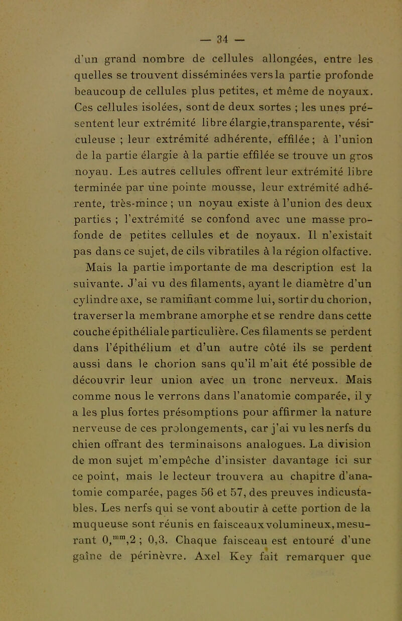 d'un grand nombre de cellules allongées, entre les quelles se trouvent disséminées vers la partie profonde beaucoup de cellules plus petites, et môme de noyaux. Ces cellules isolées, sont de deux sortes ; les unes pré- sentent leur extrémité libre élargie,transparente, vési' culeuse ; leur extrémité adhérente, effilée; à l'union de la partie élargie à la partie effilée se trouve un gros noyau. Les autres cellules offrent leur extrémité libre terminée par une pointe mousse, leur extrémité adhé- rente, très-mince ; un noyau existe à l'union des deux parties ; l'extrémité se confond avec une masse pro- fonde de petites cellules et de noyaux. Il n'existait pas dans ce sujet, de cils vibratiles à la région olfactive. Mais la partie importante de ma description est la suivante. J'ai vu des filaments, ayant le diamètre d'un cylindre axe, se ramifiant comme lui, sortir du chorion, traverser la membrane amorphe et se rendre dans cette couche épithéliale particulière. Ces filaments se perdent dans l'épithélium et d'un autre côté ils se perdent aussi dans le chorion sans qu'il m'ait été possible de découvrir leur union avec un tronc nerveux. Mais comme nous le verrons dans l'anatomie comparée, il y a les plus fortes présomptions pour affirmer la nature nerveuse de ces prolongements, car j'ai vu les nerfs du chien offrant des terminaisons analogues. La division de mon sujet m'empêche d'insister davantage ici sur ce point, mais le lecteur trouvera au chapitre d'ana- tomie comparée, pages 56 et 57, des preuves indicusta- bles. Les nerfs qui se vont aboutir à cette portion de la muqueuse sont réunis en faisceauxvolumineux,mesu- rant 0,,2 ; 0,3. Chaque faisceau est entouré d'une gaîne de périnèvre. Axel Key fait remarquer que