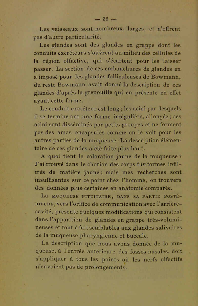 Les vaisseaux sont nombreux, larges, et n'offrent pas d'autre particularité. Les glandes sont des glandes en grappe dont les conduits excréteurs s'ouvrent au milieu des cellules de la région olfactive, qui s'écartent pour les laisser passer. La section de ces embouchures de glandes en a imposé pour les glandes folliculeuses de Bowmann, du reste Bowmann avait donné la description de ces glandes d'après la grenouille qui en présente en effet ayant cette forme. Le conduit excréteur est long ; les acini par lesquels il se termine ont une forme irrégulière, allongée ; ces acini sont disséminés par petits groupes et ne forment pas des amas encapsulés comme on le voit pour les autres parties de la muqueuse. La description élémen- taire de ces glandes a été faite plus haut. A quoi tient la coloration jaune de la muqueuse ? J'ai trouvé dans le chorion des corps fusiformes infil- trés de matière jaune ; mais mes recherches sont insuffisantes sur ce point chez l'homme, on trouvera des données plus certaines en anatomie comparée. La MUQ.UEUSE PITUITAIRE, DANS SA PARTIE POSTÉ- RIEURE, VCrS l'orifice de communication avec l'arrière- cavité, présente quelques modifications qui consistent dans l'apparition de glandes en grappe très-volumi- neuses et tout à fait semblables aux glandes salivaires de la muqueuse pharyngienne et buccale. La description que nous avons donnée de la mu- queuse, à l'entrée antérieure des fosses nasales, doit s'appliquer à tous les points où les nerfs olfactifs n'envoient pas de prolongements.