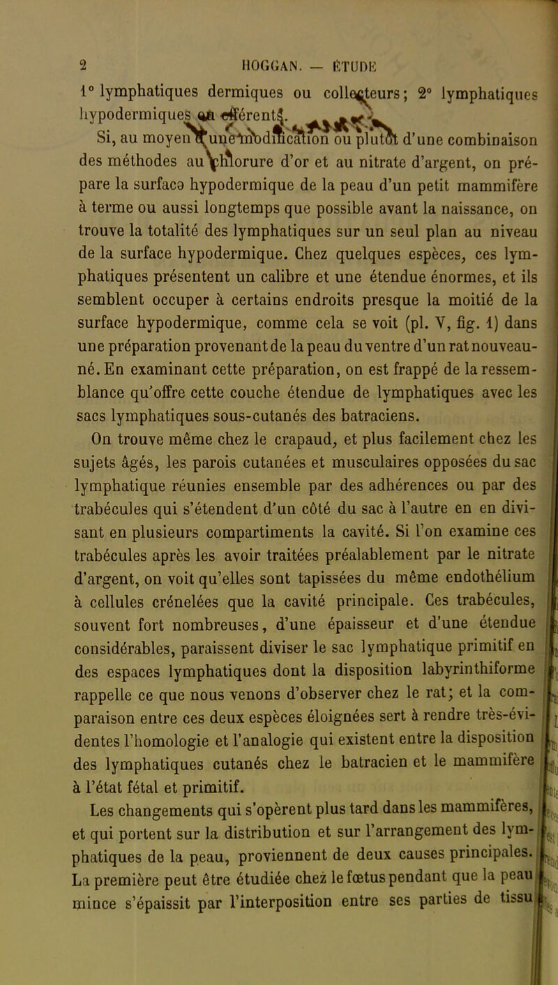 1° lymphatiques dermiques ou collecteurs; 2° lymphatiques hypodermiques <vi «fférents^. Si, au moyei^uueJm>bdmcalion ou pîutSt d'une combinaison des méthodes au çlflorure d'or et au nitrate d'argent, on pré- pare la surfaco hypodermique de la peau d'un petit mammifère à terme ou aussi longtemps que possible avant la naissance, on trouve la totalité des lymphatiques sur un seul plan au niveau de la surface hypodermique. Chez quelques espèces, ces lym- phatiques présentent un calibre et une étendue énormes, et ils semblent occuper à certains endroits presque la moitié de la surface hypodermique, comme cela se voit (pl. V, fig. 1) dans une préparation provenant de la peau du ventre d'un rat nouveau- né. En examinant cette préparation, on est frappé de la ressem- blance qu'offre cette couche étendue de lymphatiques avec les sacs lymphatiques sous-cutanés des batraciens. On trouve même chez le crapaud, et plus facilement chez les sujets âgés, les parois cutanées et musculaires opposées du sac lymphatique réunies ensemble par des adhérences ou par des trabécules qui s'étendent d'un côté du sac à l'autre en en divi- sant en plusieurs compartiments la cavité. Si Ton examine ces trabécules après les avoir traitées préalablement par le nitrate d'argent, on voit qu'elles sont tapissées du même endothélium à cellules crénelées que la cavité principale. Ces trabécules, souvent fort nombreuses, d'une épaisseur et d'une étendue considérables, paraissent diviser le sac lymphatique primitif en des espaces lymphatiques dont la disposition labyrinthiforme rappelle ce que nous venons d'observer chez le rat; et la com- paraison entre ces deux espèces éloignées sert à rendre très-évi- dentes l'homologie et l'analogie qui existent entre la disposition des lymphatiques cutanés chez le batracien et le mammifère à l'état fétal et primitif. Les changements qui s'opèrent plus tard dans les mammifères, et qui portent sur la distribution et sur l'arrangement des lym- phatiques de la peau, proviennent de deux causes principales. La première peut être étudiée chez le fœtus pendant que la peau mince s'épaissit par l'interposition entre ses parties de tissu