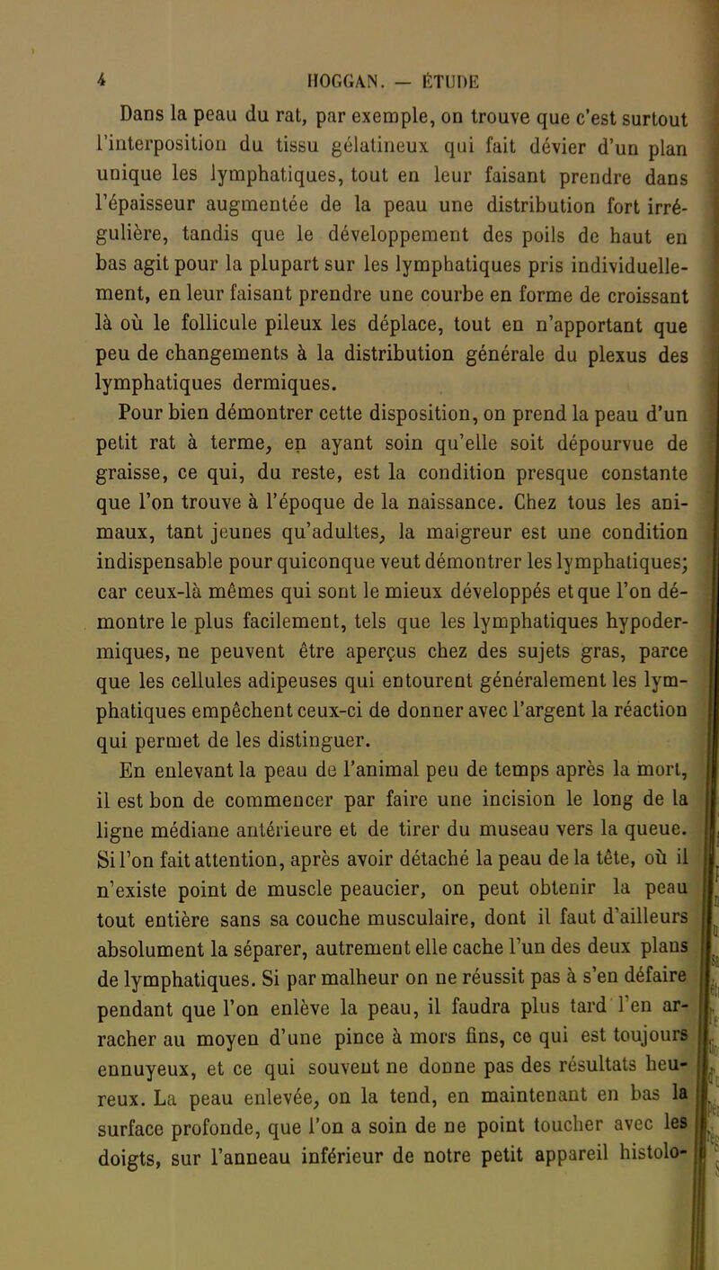 Dans la peau du rat, par exemple, on trouve que c'est surtout l'interposition du tissu gélatineux qui fait dévier d'un plan unique les lymphatiques, tout en leur faisant prendre dans l'épaisseur augmentée de la peau une distribution fort irré- gulière, tandis que le développement des poils de haut en bas agit pour la plupart sur les lymphatiques pris individuelle- ment, en leur faisant prendre une courbe en forme de croissant là où le follicule pileux les déplace, tout en n'apportant que peu de changements à la distribution générale du plexus des lymphatiques dermiques. Pour bien démontrer cette disposition, on prend la peau d'un petit rat à terme, en ayant soin qu'elle soit dépourvue de graisse, ce qui, du reste, est la condition presque constante que l'on trouve à l'époque de la naissance. Chez tous les ani- maux, tant jeunes qu'adultes, la maigreur est une condition indispensable pour quiconque veut démontrer les lymphatiques; car ceux-là mêmes qui sont le mieux développés et que l'on dé- montre le plus facilement, tels que les lymphatiques hypoder- miques, ne peuvent être aperçus chez des sujets gras, parce que les cellules adipeuses qui entourent généralement les lym- phatiques empêchent ceux-ci de donner avec l'argent la réaction qui permet de les distinguer. En enlevant la peau de l'animal peu de temps après la mort, il est bon de commencer par faire une incision le long de la ligne médiane antérieure et de tirer du museau vers la queue. Si Ton fait attention, après avoir détaché la peau de la tête, où il n'existe point de muscle peaucier, on peut obtenir la peau tout entière sans sa couche musculaire, dont il faut d'ailleurs absolument la séparer, autrement elle cache Fun des deux plans de lymphatiques. Si par malheur on ne réussit pas à s'en défaire pendant que l'on enlève la peau, il faudra plus tard l'en ar- racher au moyen d'une pince à mors fins, ce qui est toujours ennuyeux, et ce qui souvent ne donne pas des résultats heu- reux. La peau enlevée, on la tend, en maintenant en bas la surface profonde, que l'on a soin de ne point toucher avec les doigts, sur l'anneau inférieur de notre petit appareil histolo-