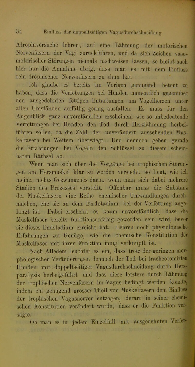 Atropinversuche lehren, auf eine Lähmung der motorischen Nervenfasern der Vagi zurückführen, und da sich Zeichen vaso- motorischer Störungen niemals nachweisen lassen, so bleibt auch hier nur die Annahme übrig, dass man es mit dem Einfluss rein trophischer Nervenfasern zu thun hat. Ich glaube es bereits im Vorigen genügend betont zu haben, dass die Vertettungen bei Hunden namentlich gegenübej den ausgedehnten fettigen Entartungen am Vogelherzen unter allen Umständen auffällig gering ausfallen. Es muss für den Augenblick ganz unverständlich erscheinen, wie so unbedeutende Verfettungen bei Hunden den Tod durch Herzlähmung herbei- führen sollen, da die Zahl der unverändert aussehenden Mus- kelfasern bei Weitem überwiegt. Und dennoch geben gerade die Erfahrungen bei Vögeln den Schlüssel zu diesem schein- baren Räthsel ab. Wenn man sich über die Vorgänge bei trophischen Störun- gen am Herzmuskel klar zu werden versucht, so liegt, wie ich meine, nichts Gezwungenes darin, wenn man sich dabei mehrere Stadien des Prozesses vorstellt. Offenbar muss die Substanz der Muskelfasern eine Reihe chemischer Umwandlungen durch- machen, ehe sie an dem Endstadium, bei der Verfettung ange- langt ist. Dabei erscheint es kaum unverständlich, dass die Muskelfaser bereits funktionsunfähig geworden sein wird, bevor sie dieses Endstadium erreicht hat. Lehren doch physiologische Erfahrungen zur Genüge, wie die chemische Konstitution der Muskelfaser mit ihrer Funktion innig verknüpft ist. Nach Alledem leuchtet es ein, dass trotz der geringen mor- phologischen Veränderungen dennoch der Tod bei tracheotorairten Hunden mit doppeltseitiger Vagusdurchschueidung durch Herz- paralysis herbeigeführt und dass diese letztere durch Lähmung der trophischen Nervenfasern im Vagus bedingt werden konnte, indem ein genügend grosser Theil von Muskelfasern dem Einfluss der trophischen Vagusnerven entzogen, derart in seiner chemi- schen Konstitution verändert wurde, dass er die Funktion ver- sagte. Ob man es in jedem Einzelfall mit ausgedehnten Verfct-